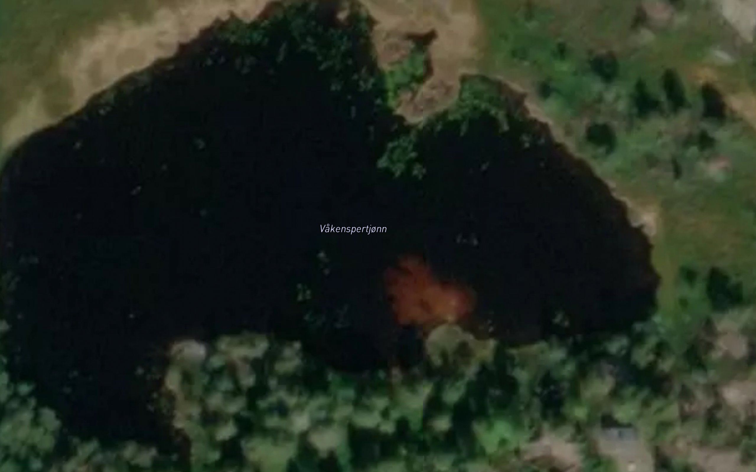 Bergstjorni