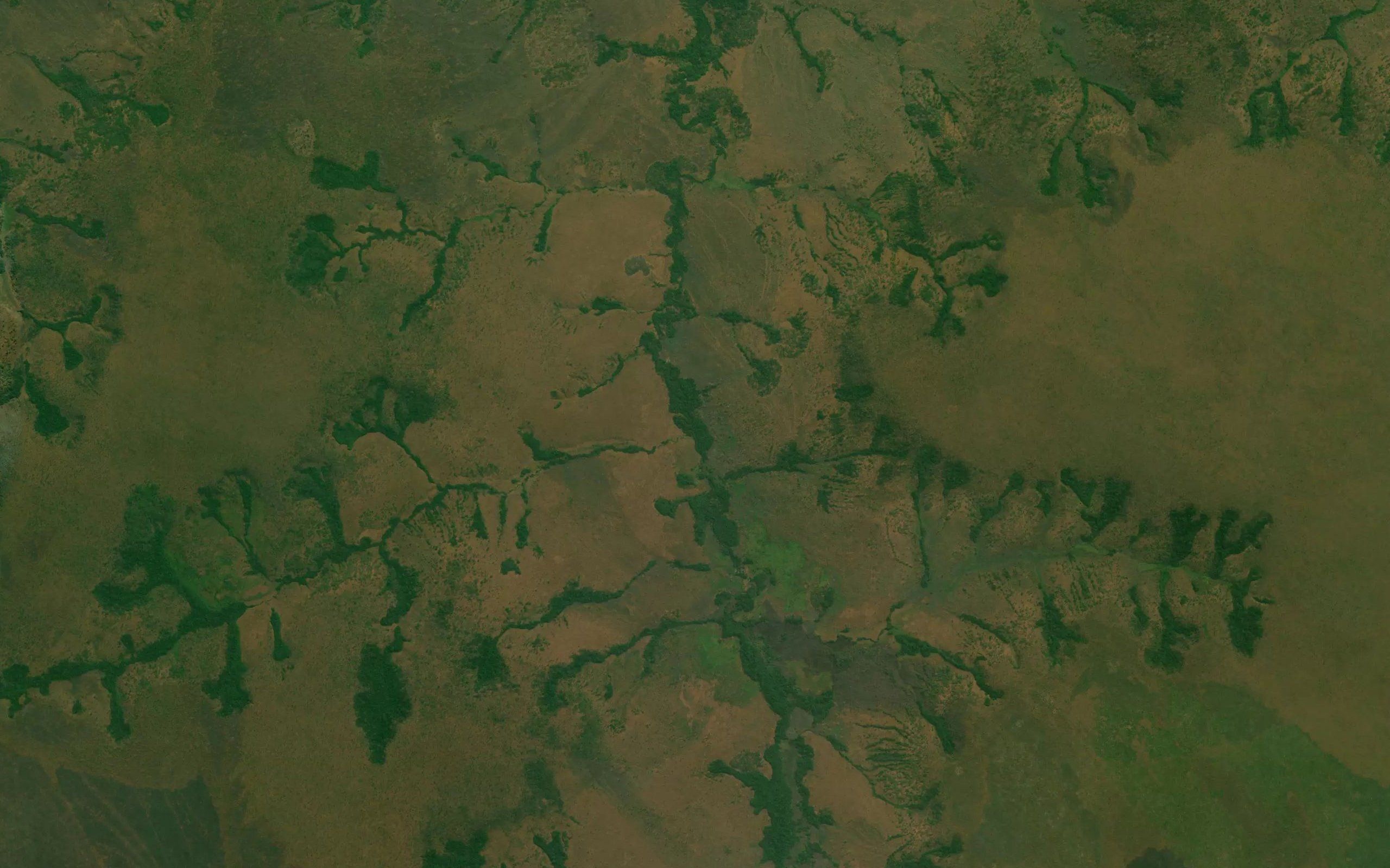Tchiliacassa
