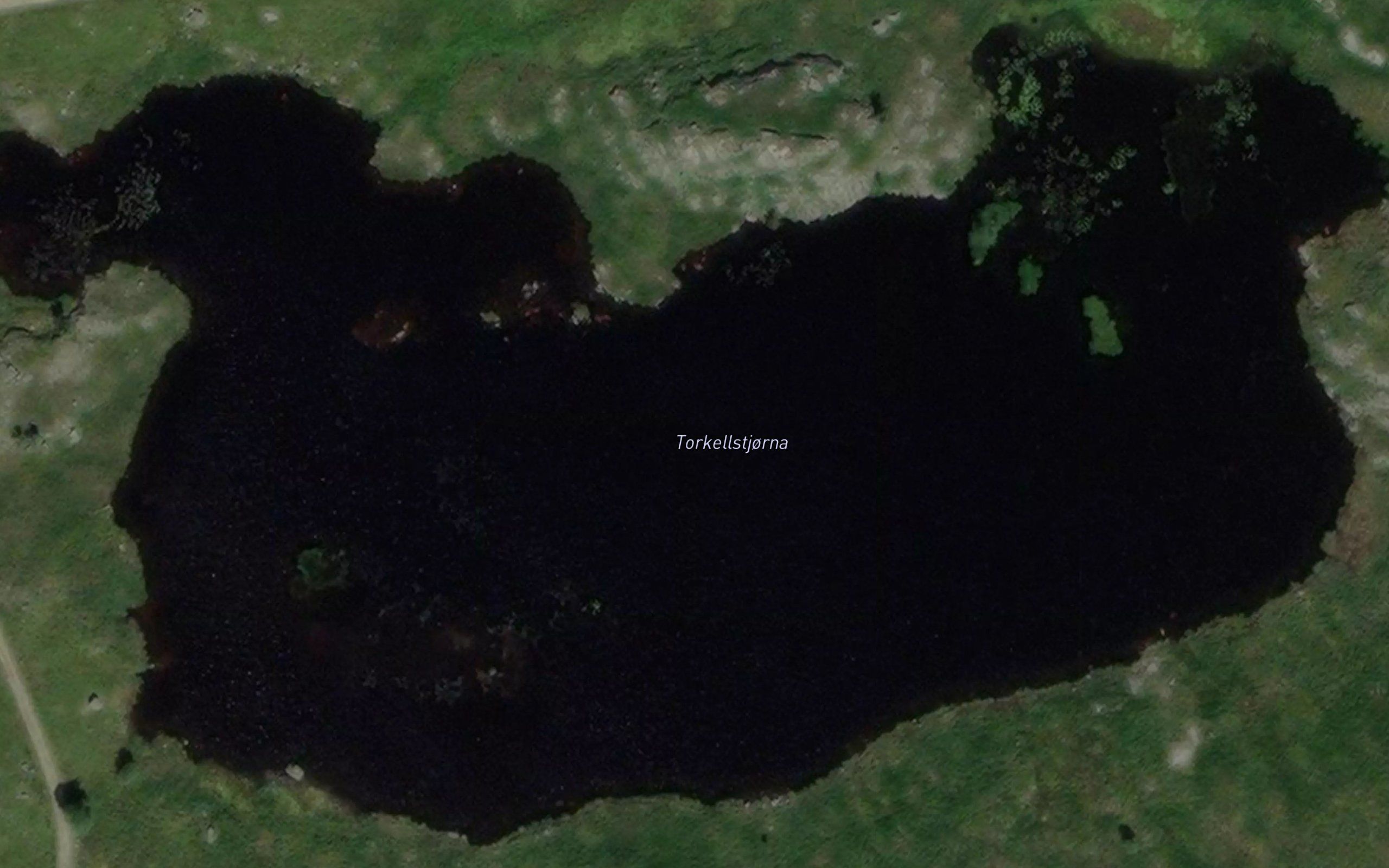 Torkellstjorna