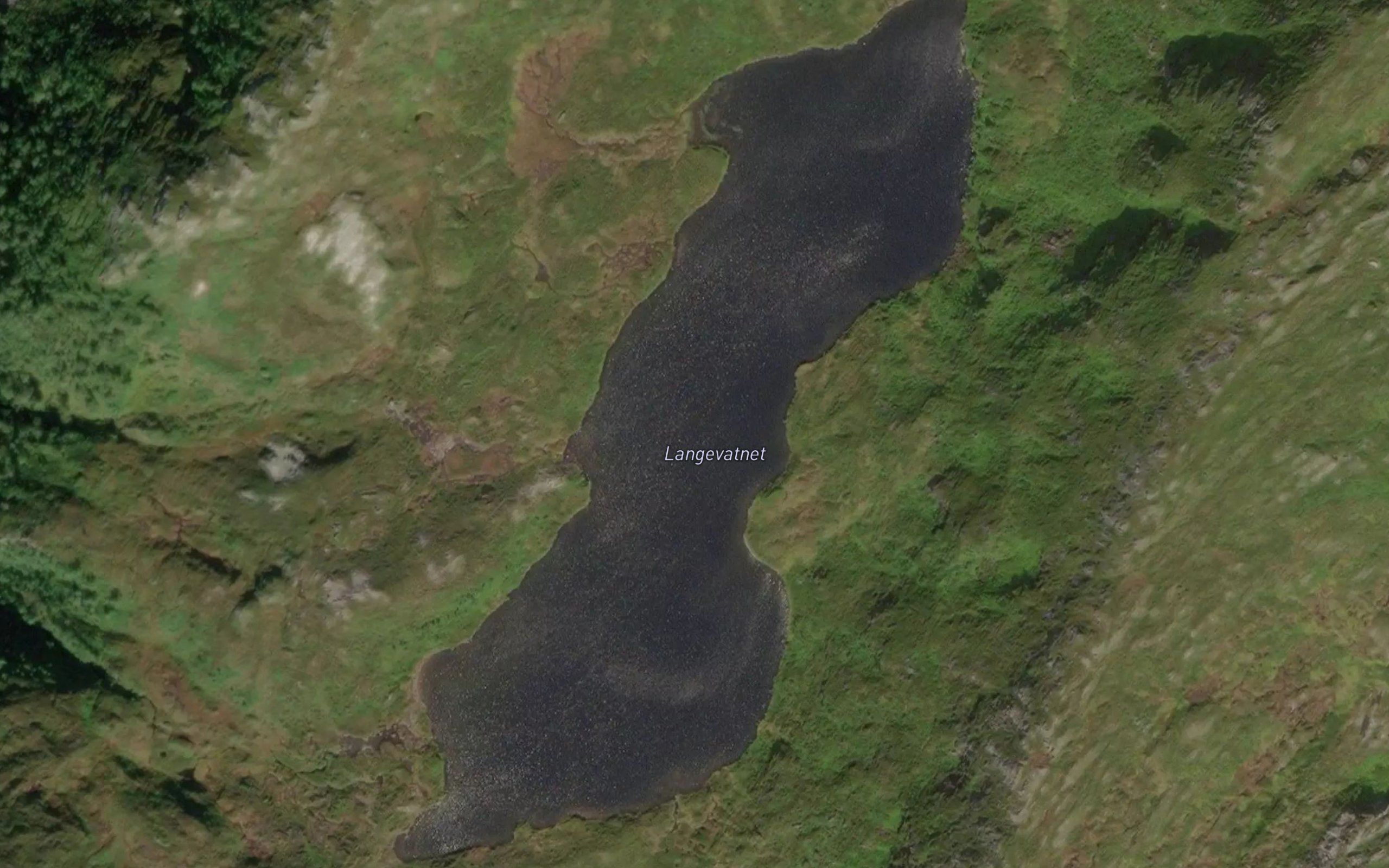 Langevatnet