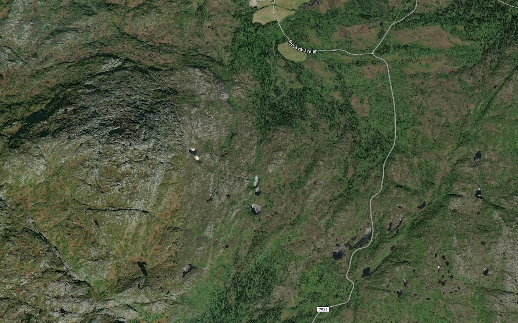 Satellite map of the Nesbekken