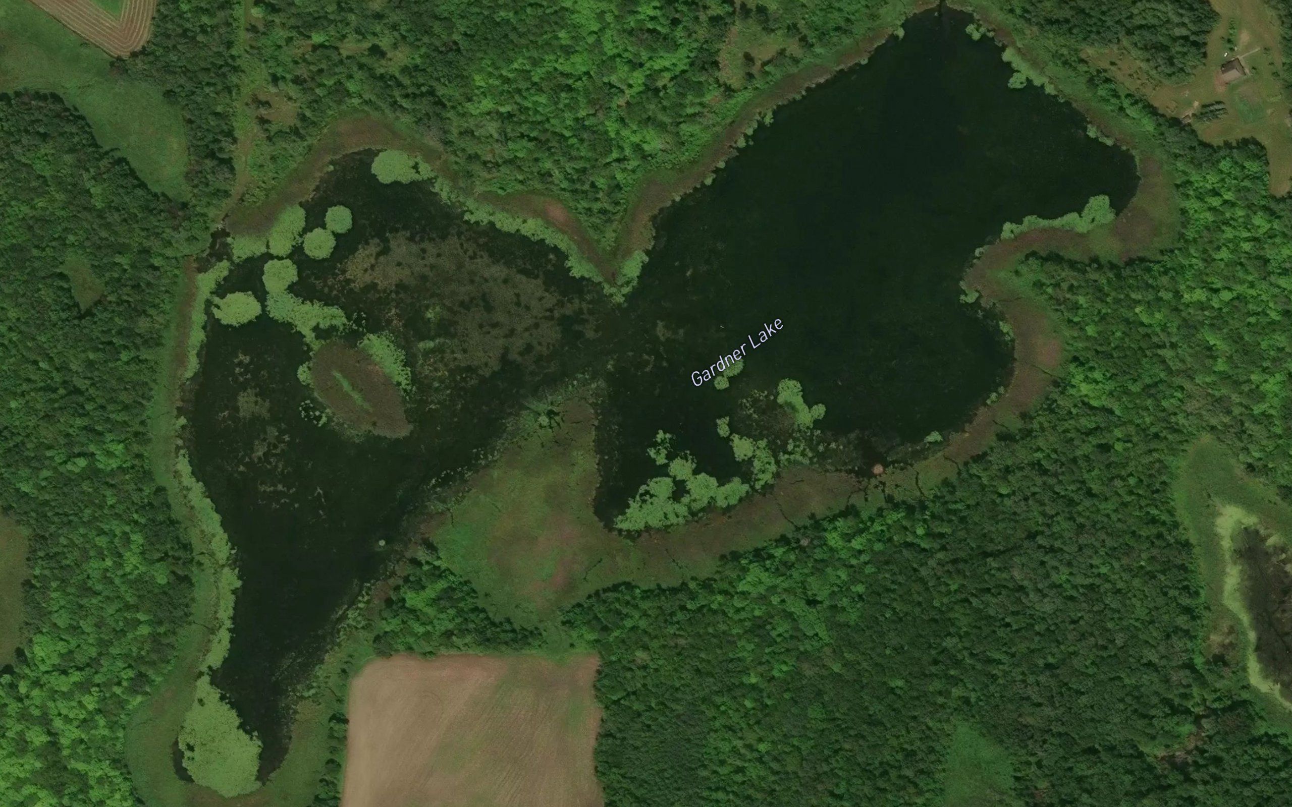 Gardner Lake