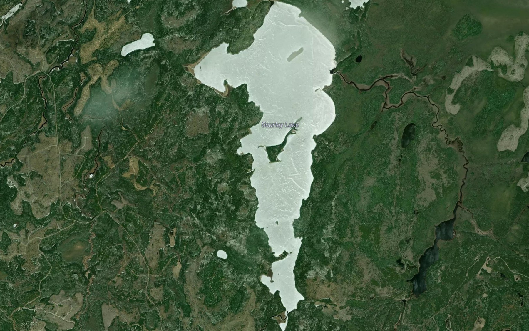 Satellite map of the Gourlay Lake