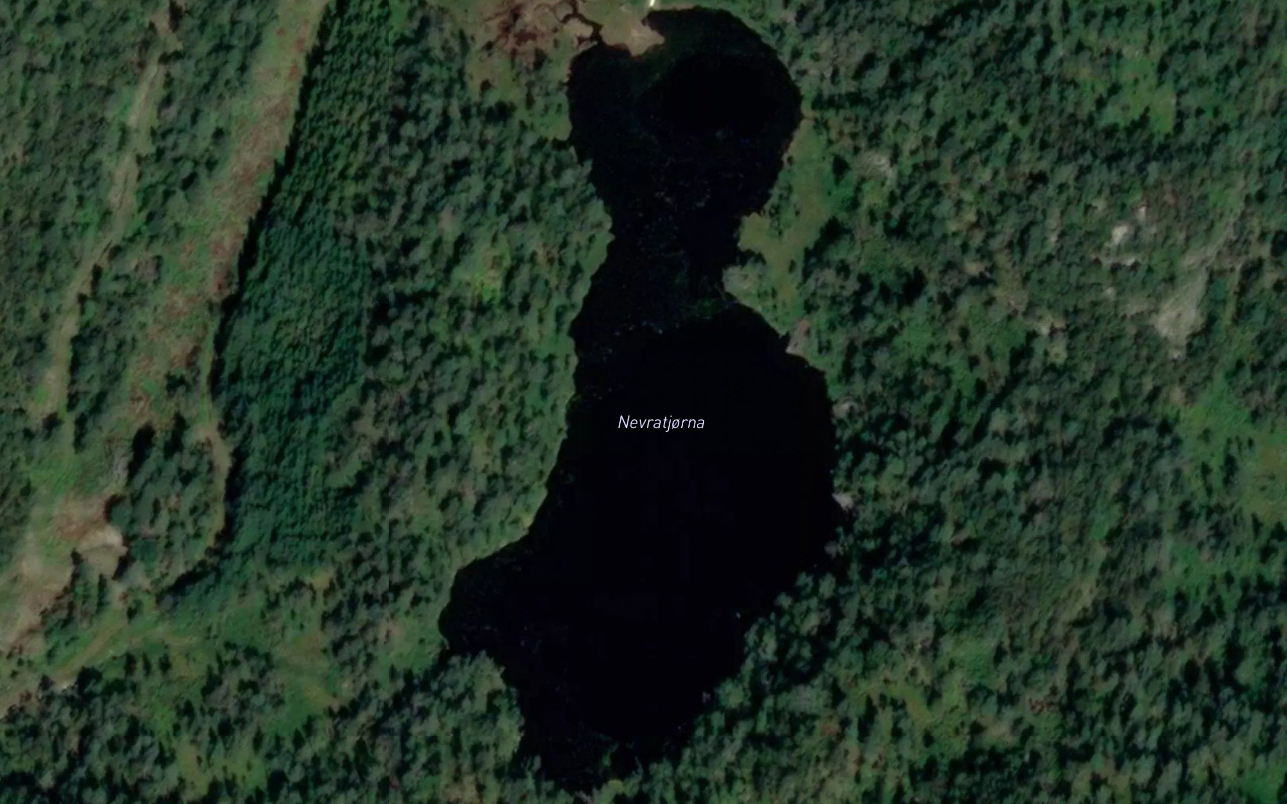 Nevratjorna