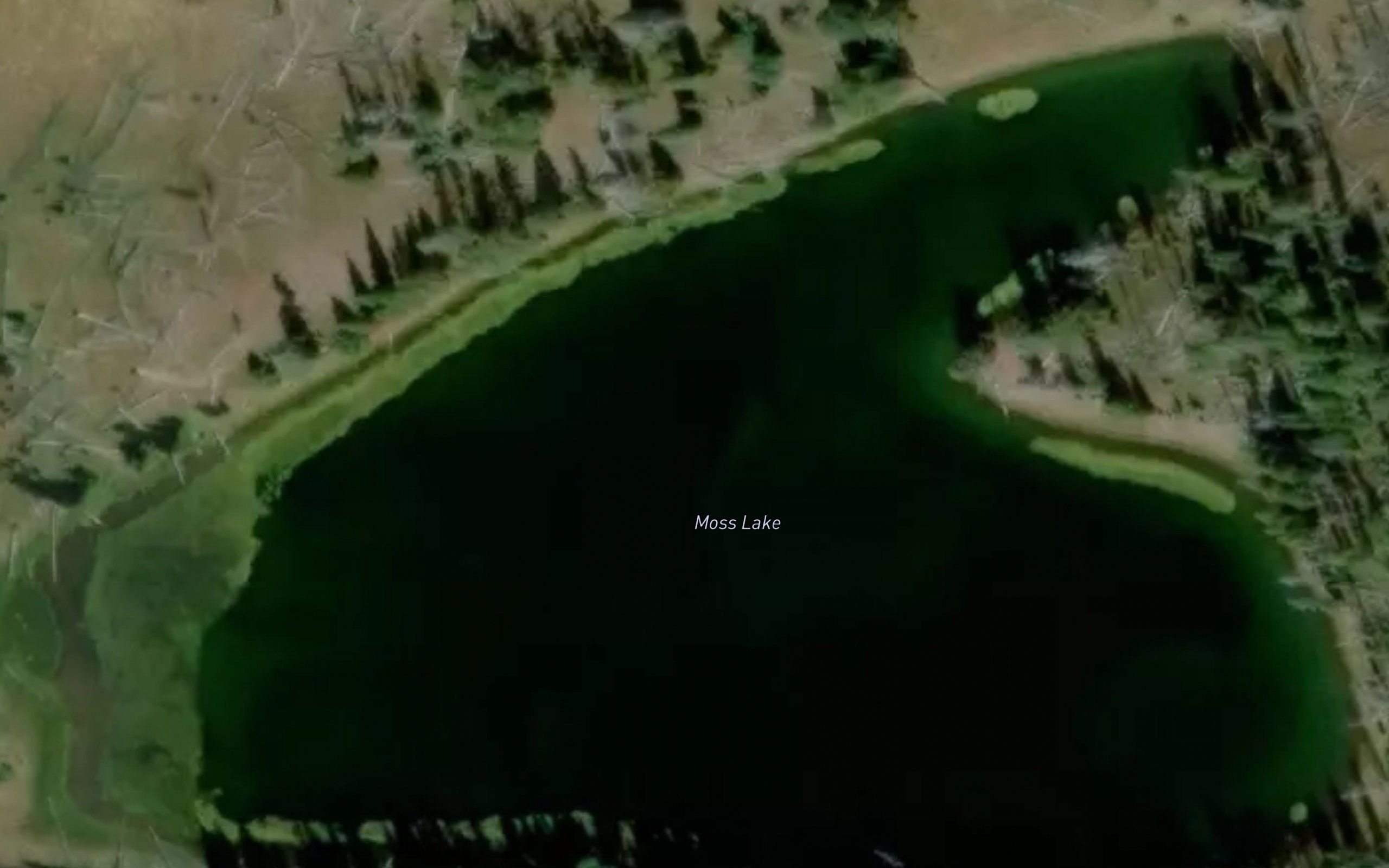 Moss Lake
