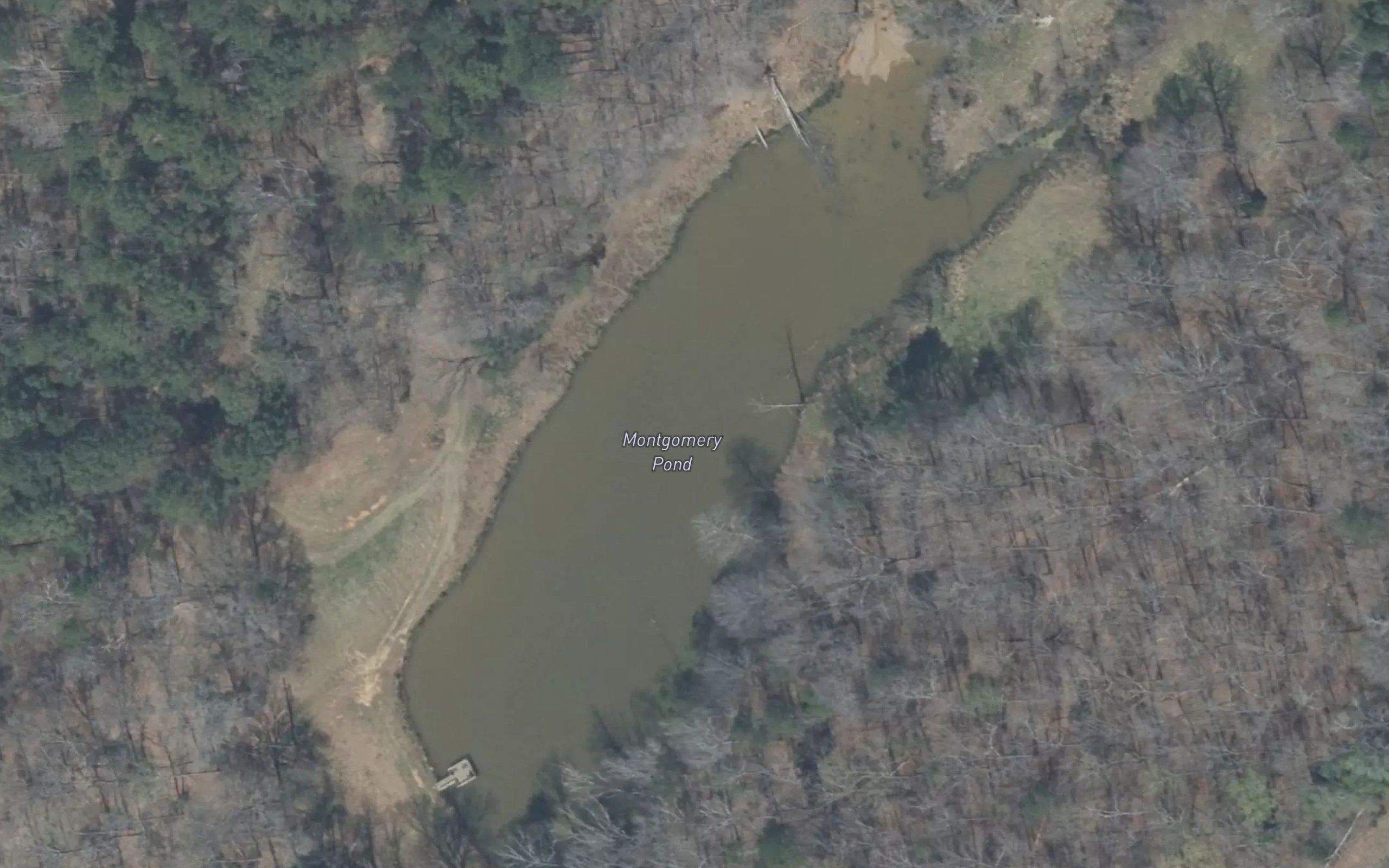 Montgomery Pond