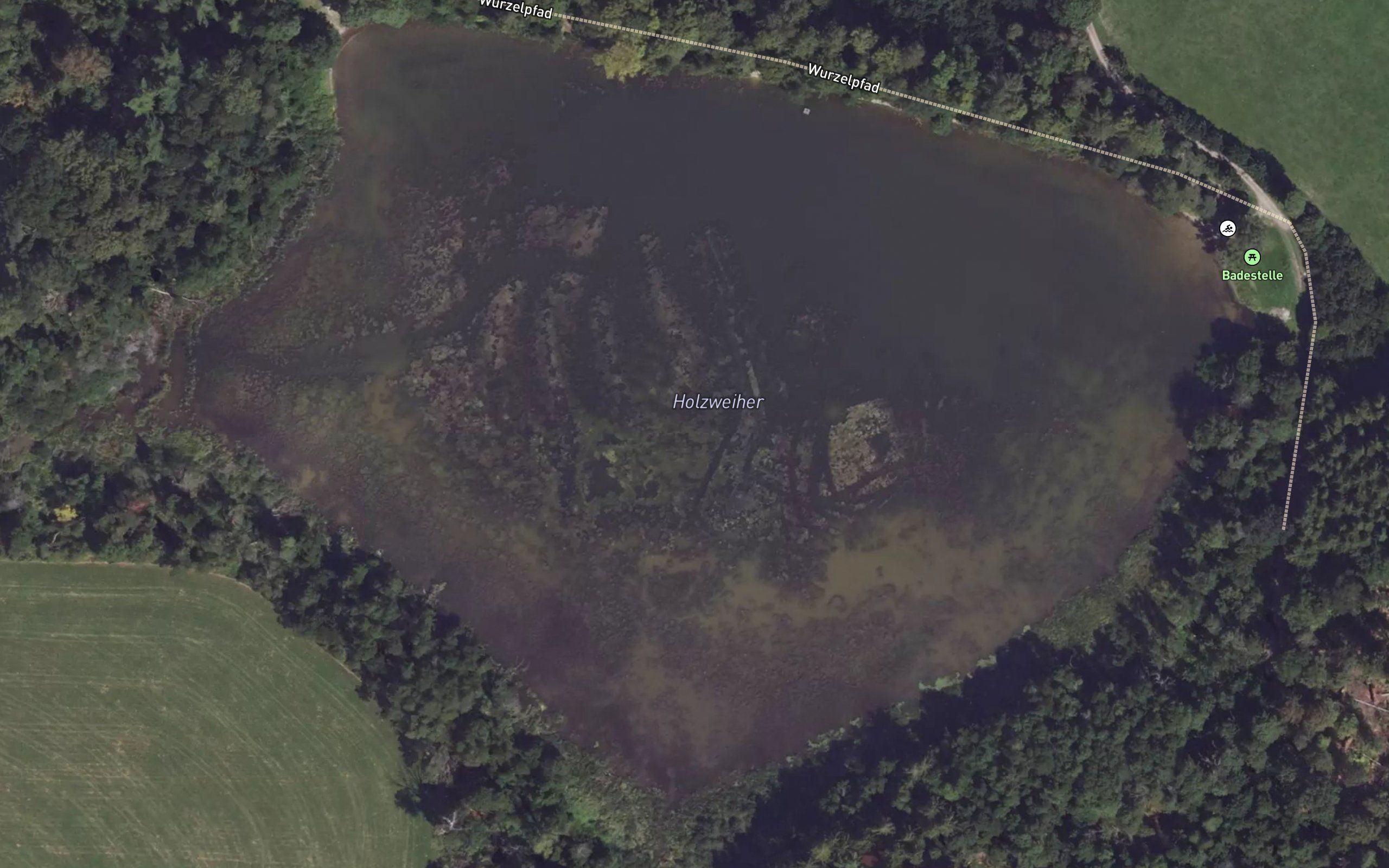 Holzweiher