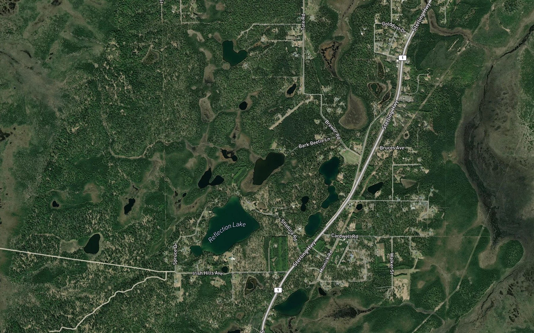 Satellite map of the Reflection Lake