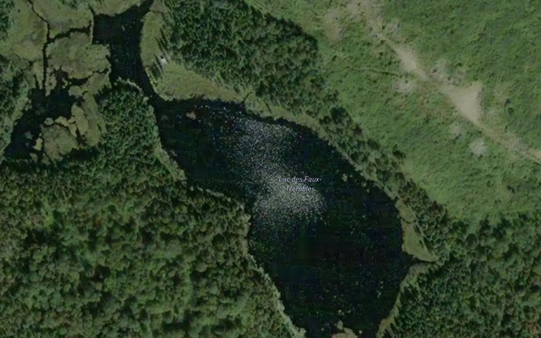 Satellite map of the Lac des Faux-Trembles