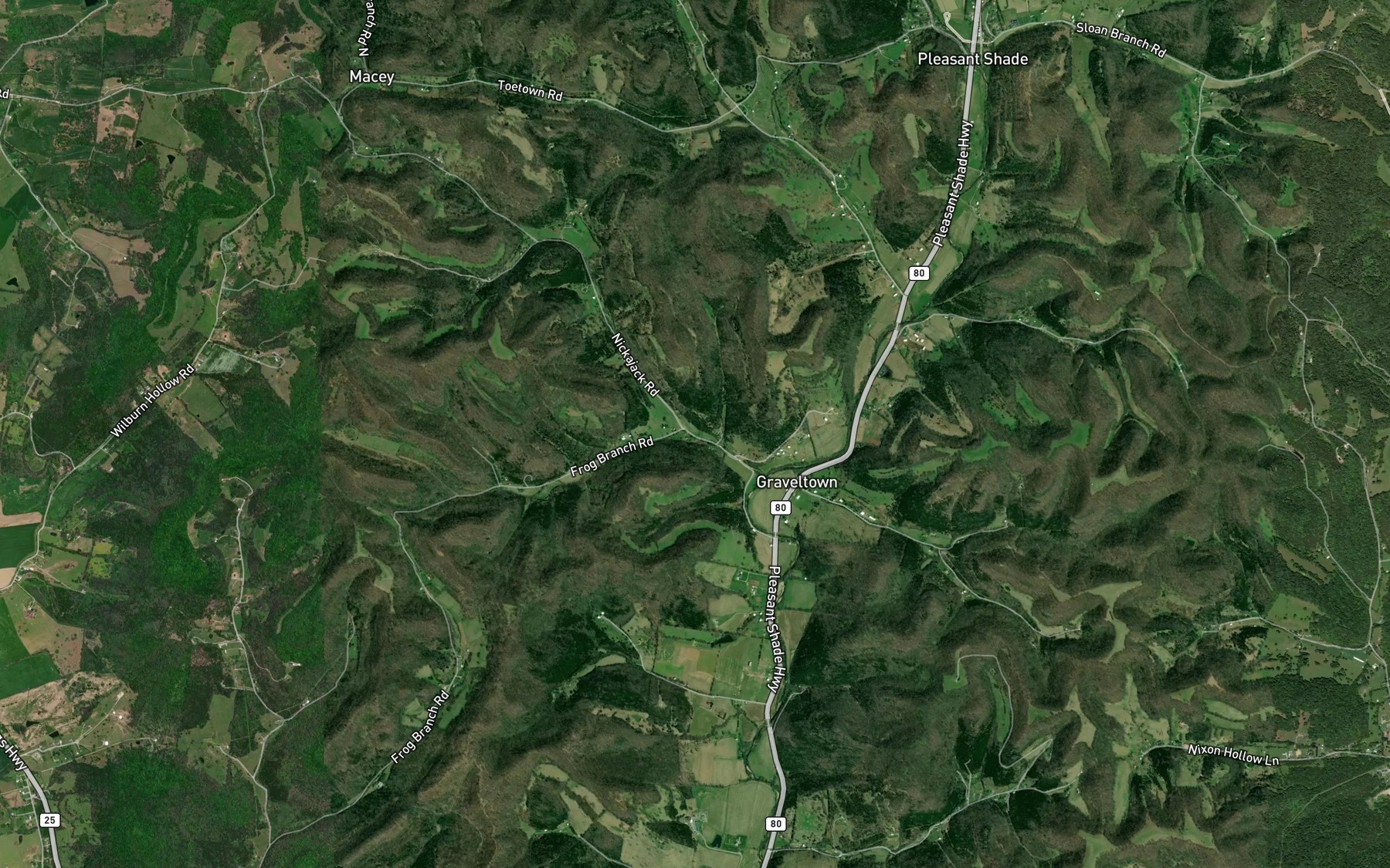 Satellite map of the Frog Branch