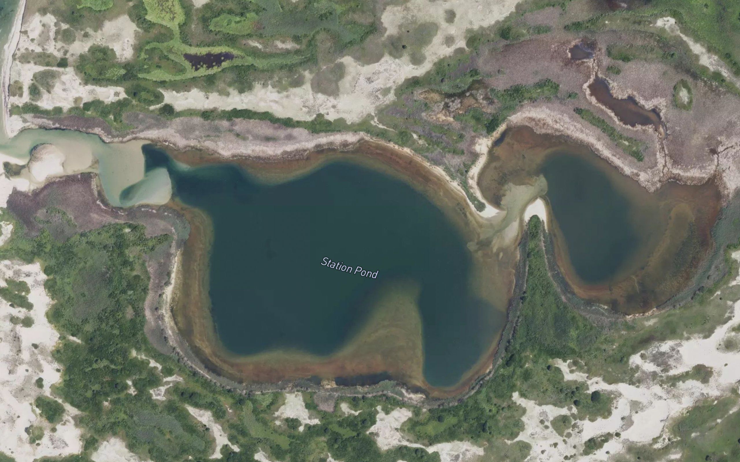 Big Station Pond