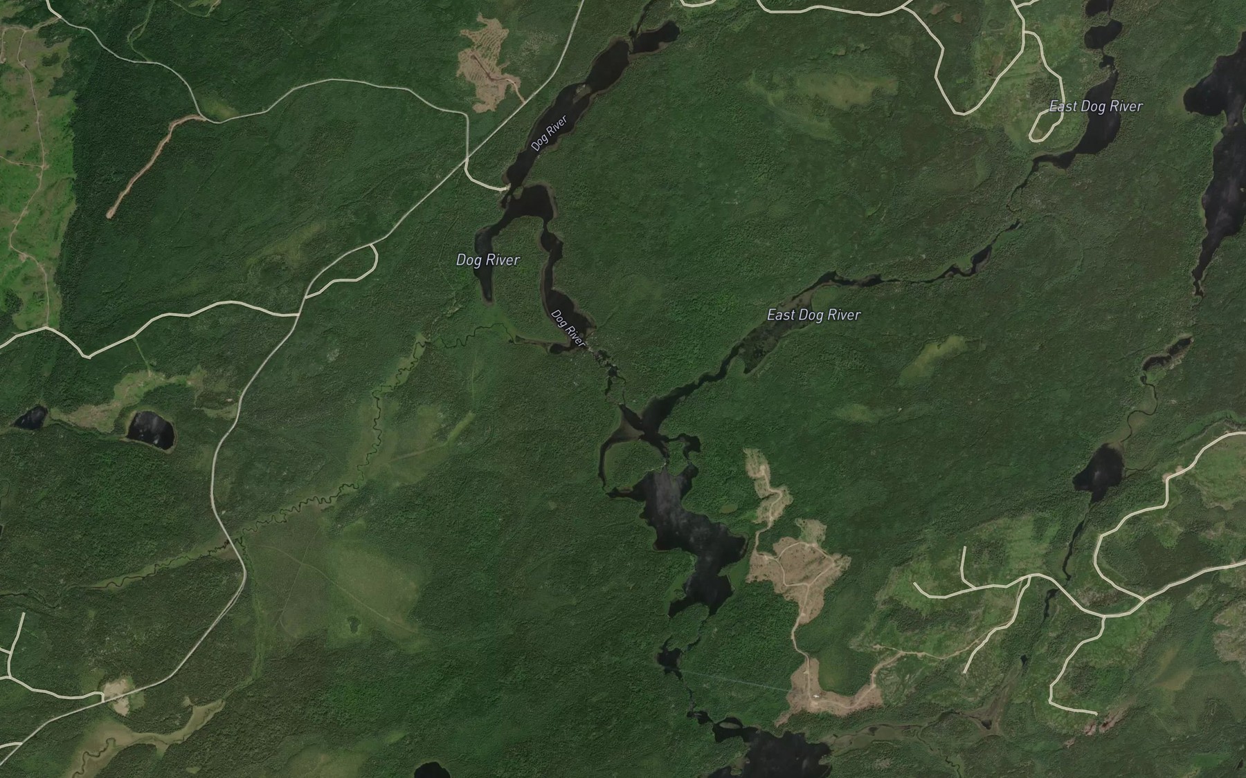 Satellite map of the East Dog River