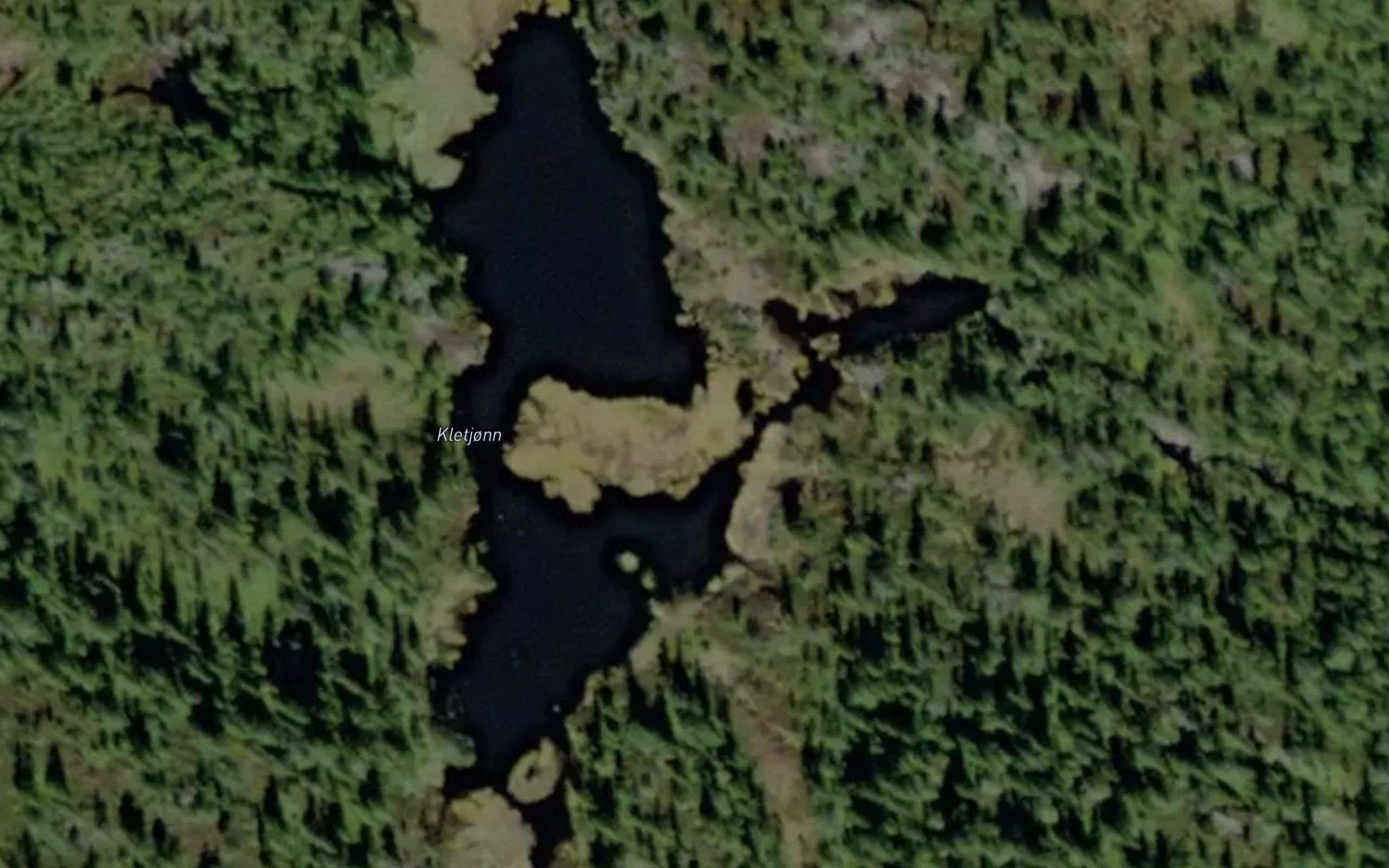 Kletjorn