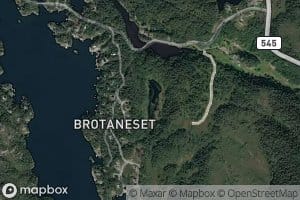 Stokketjorna