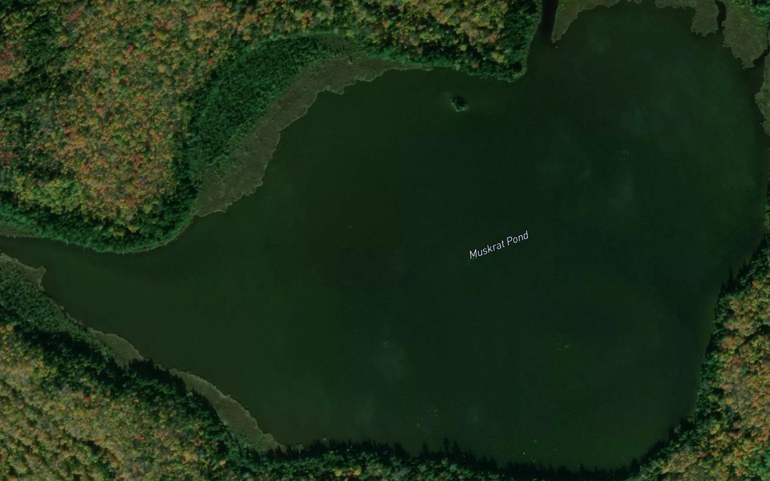 Muskrat Pond