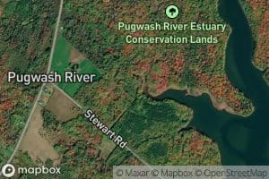 Chisholm Brook