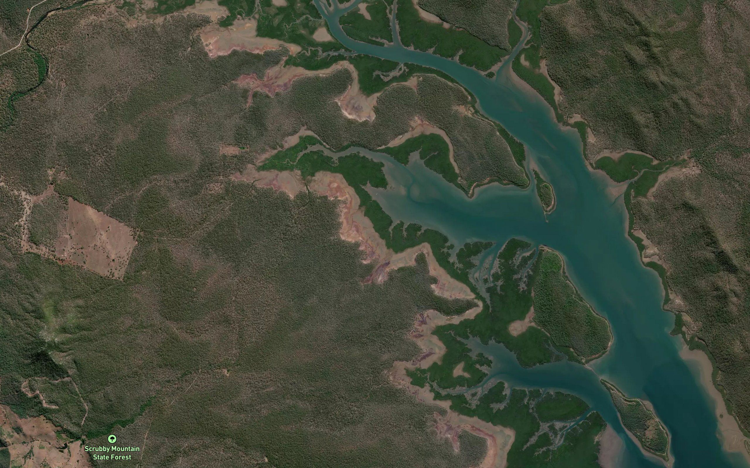 Black Swan Creek