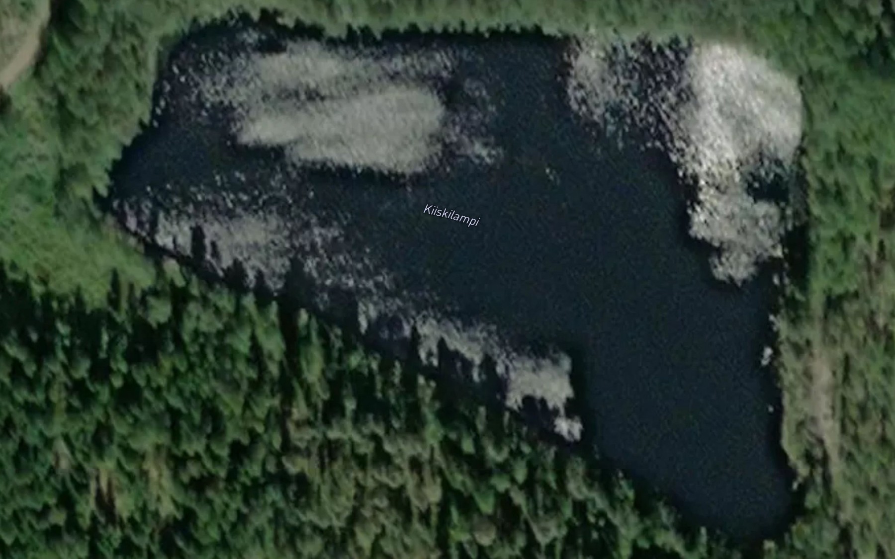 Satellite map of the Kiiskilampi