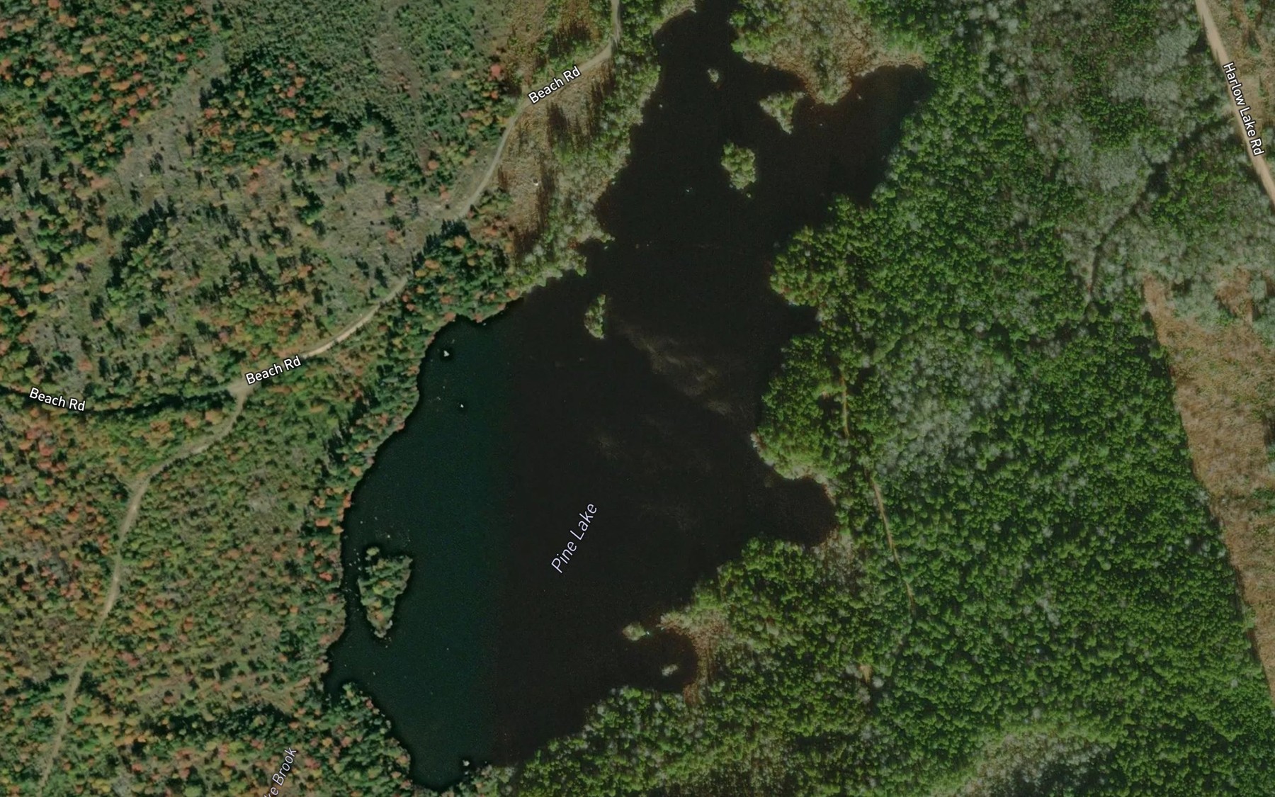 Satellite map of the Pine Lake
