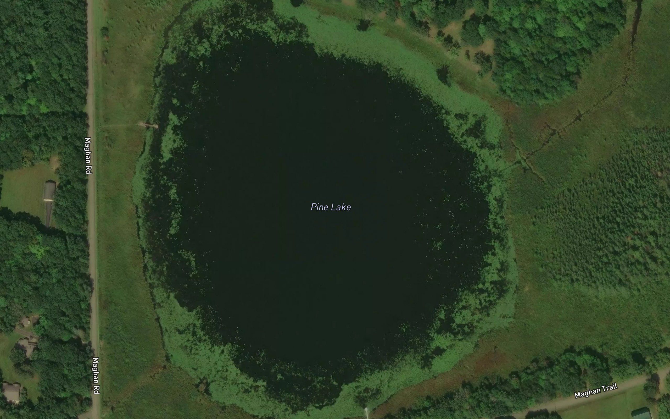 Pine Lake
