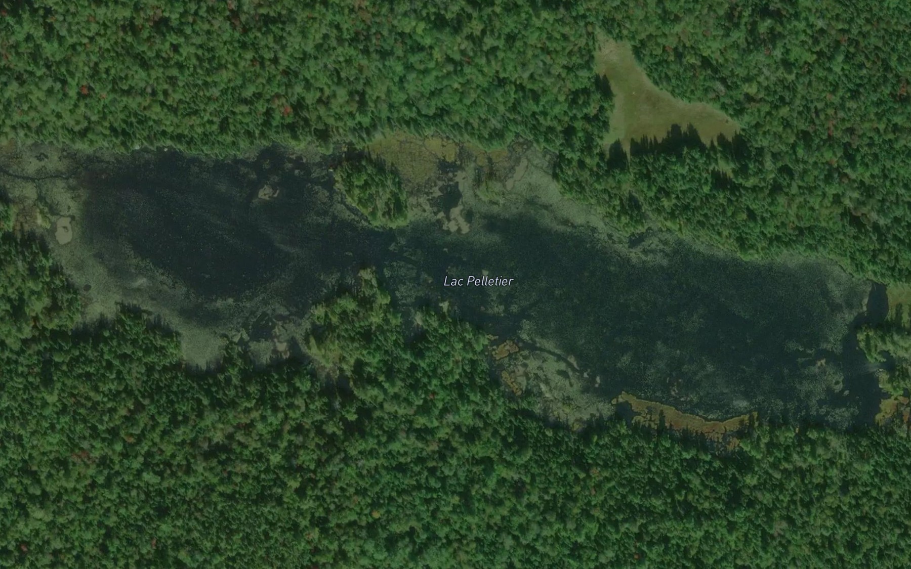 Satellite map of the Lac Pelletier