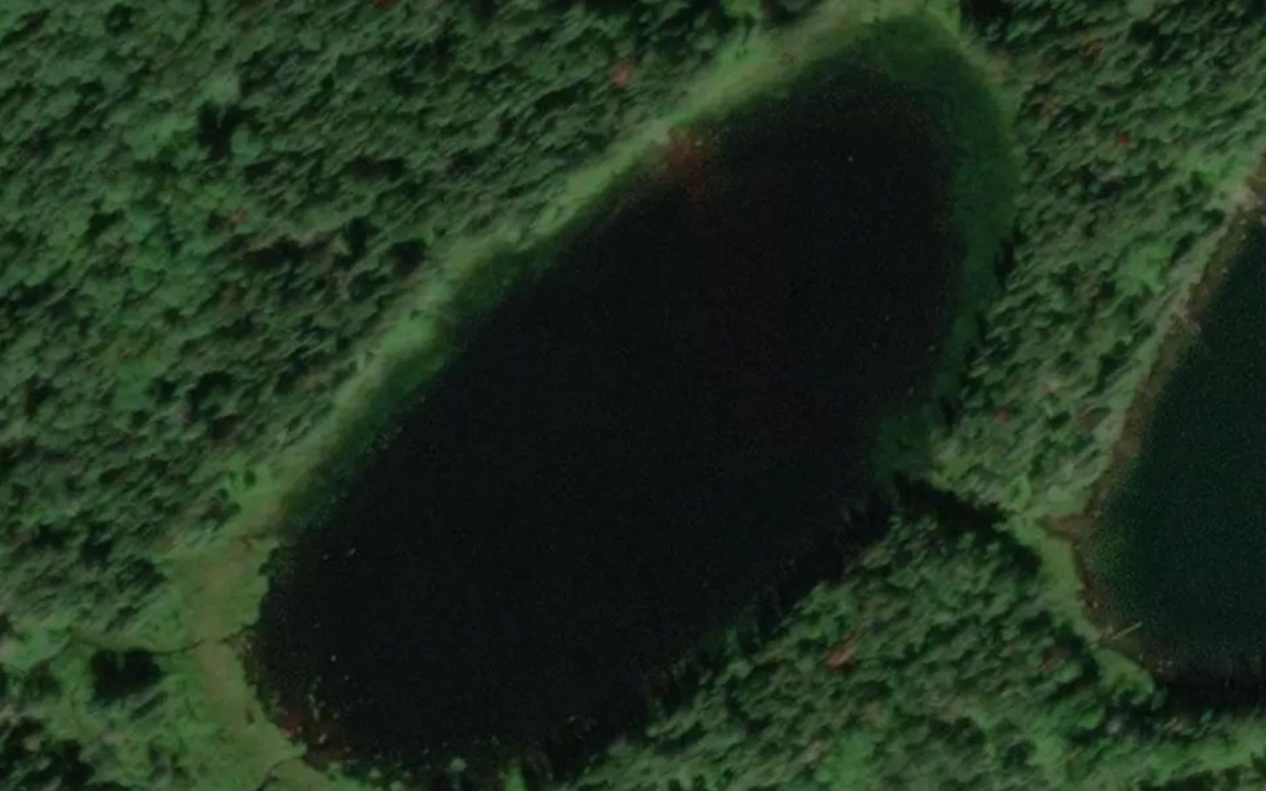 Canvasback Lake