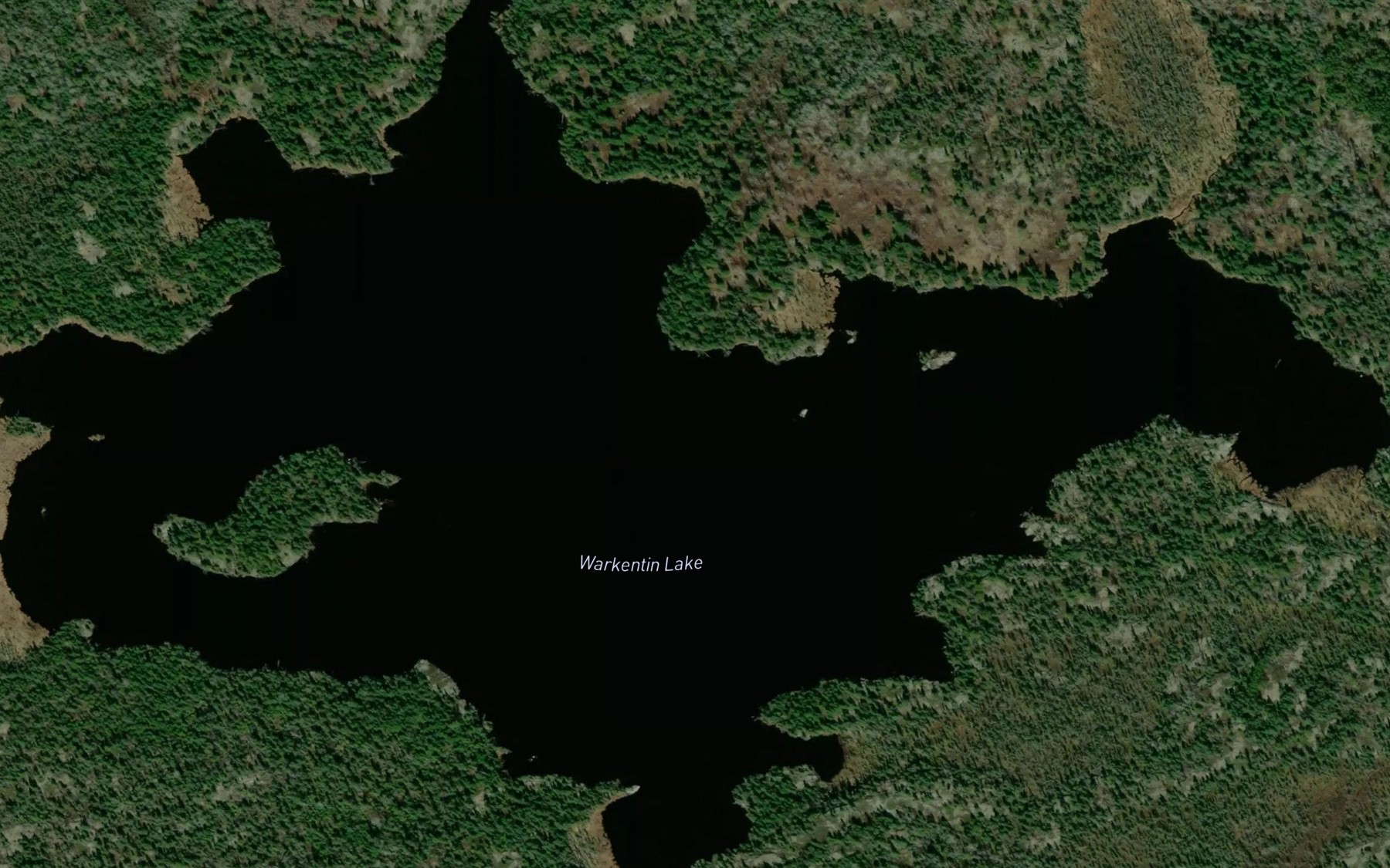 Satellite map of the Warkentin Lake