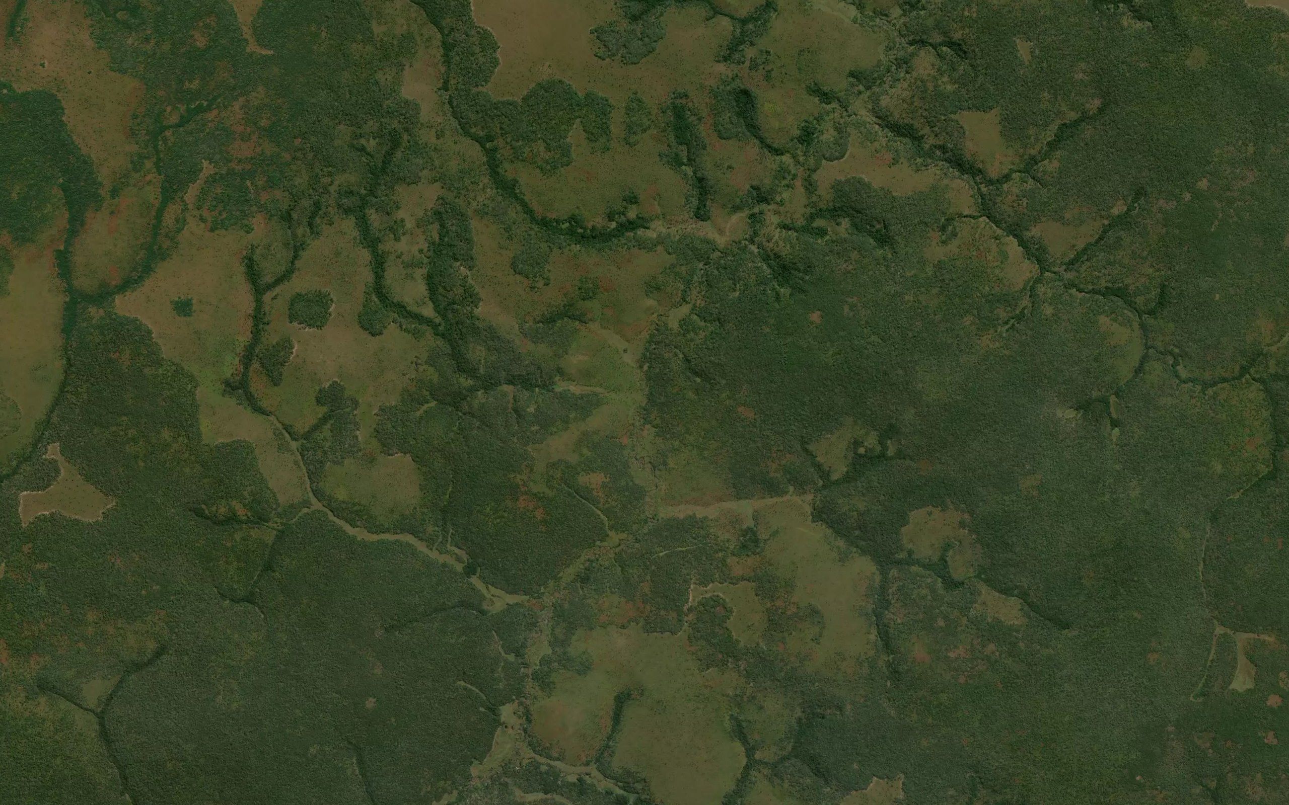 Uangando