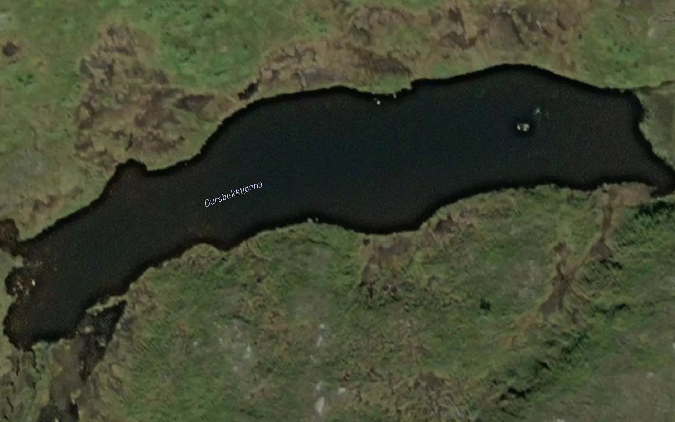 Dursbekktjorna