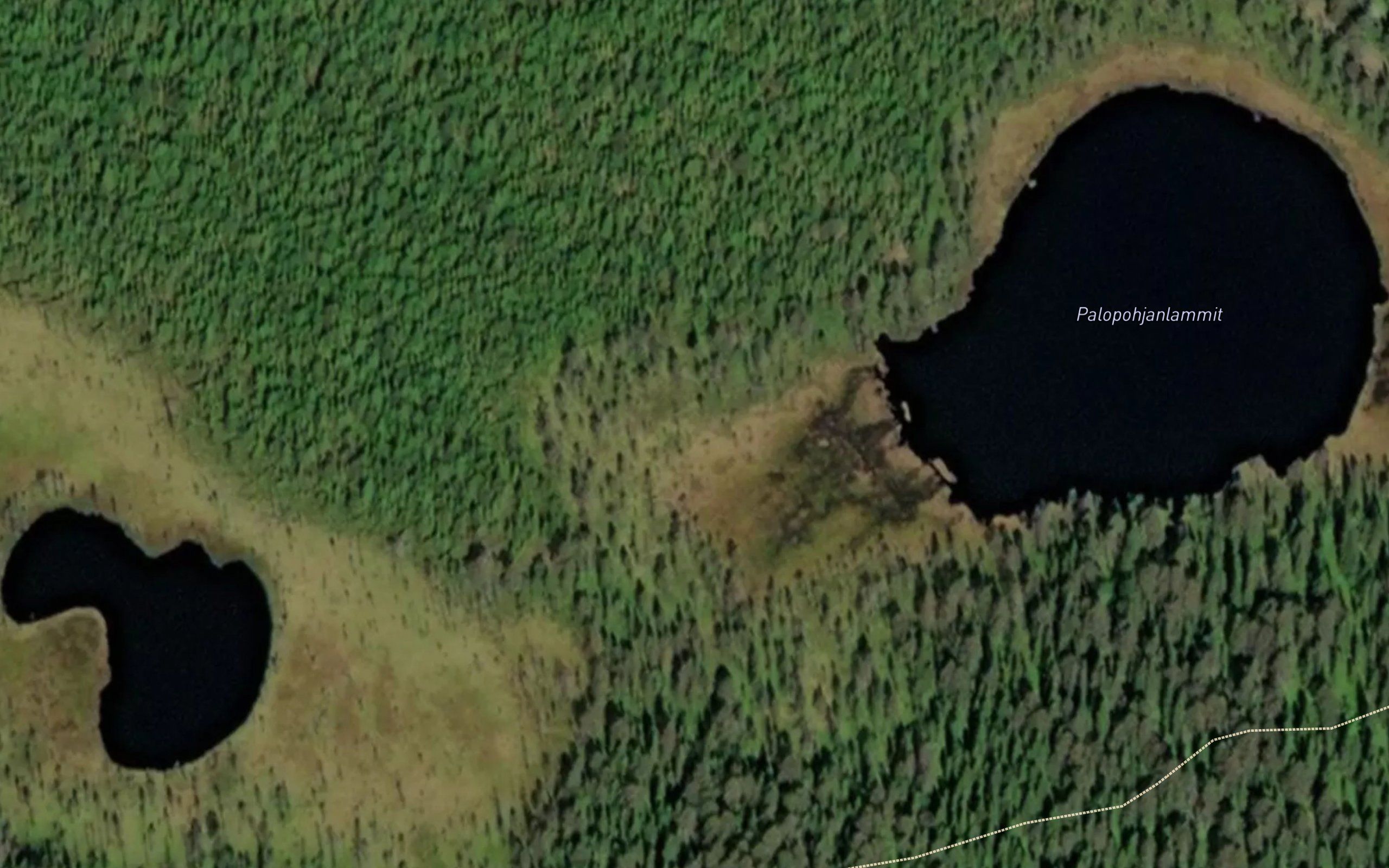Palopohjanlammit
