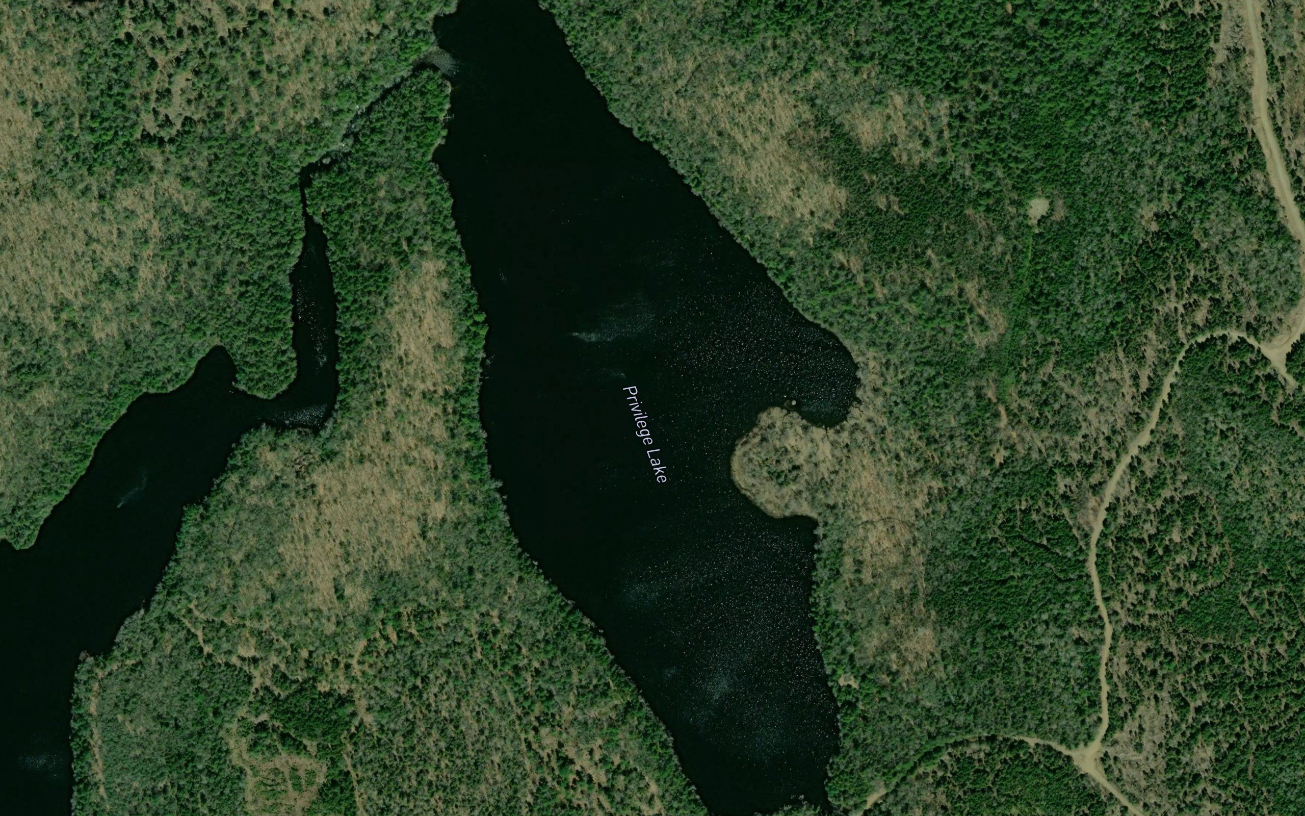 Privilege Lake