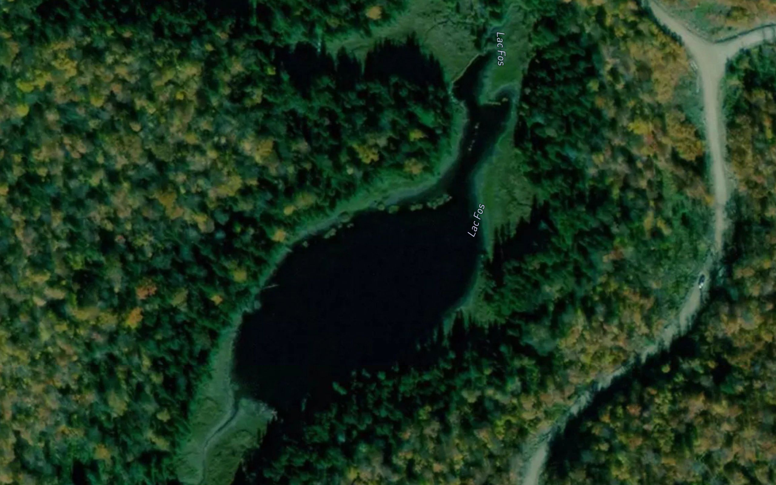Lac Fos