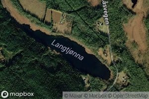 Langtjorn