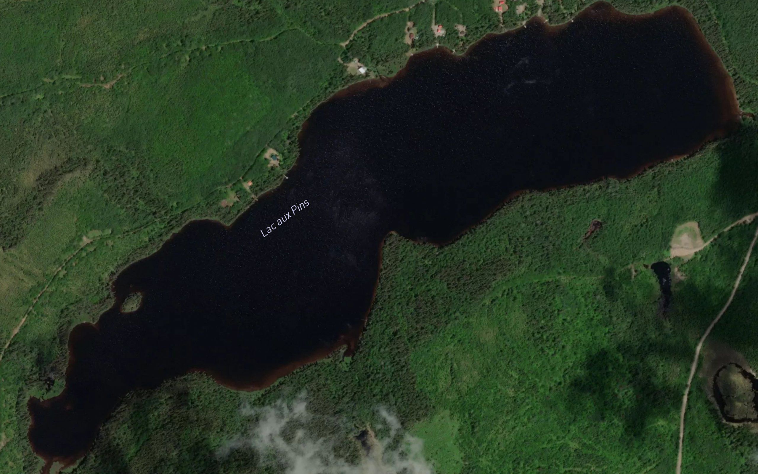 Lac aux Pins