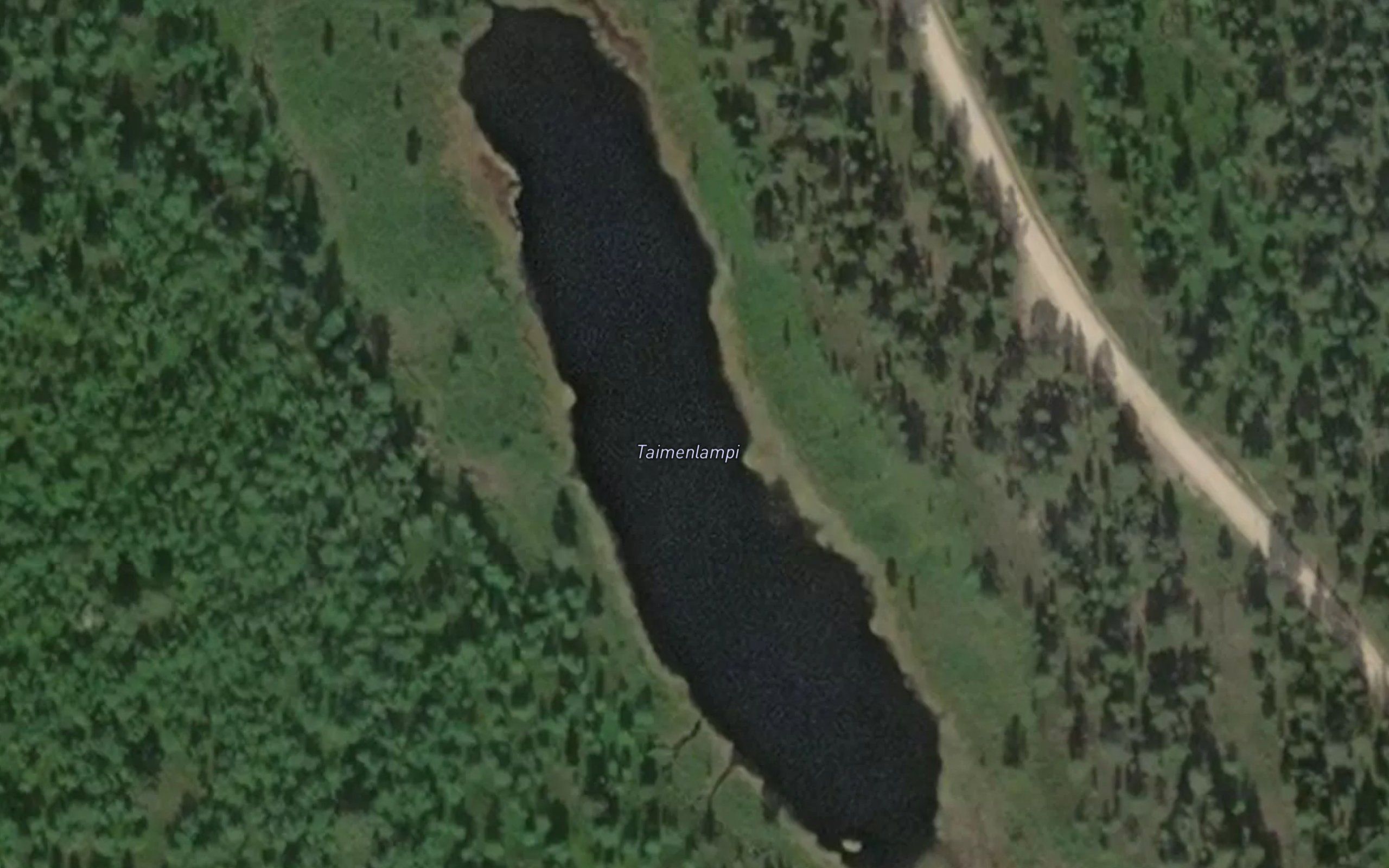 Taimenlampi