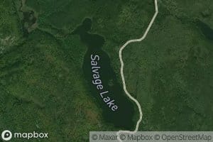 Salvage Lake