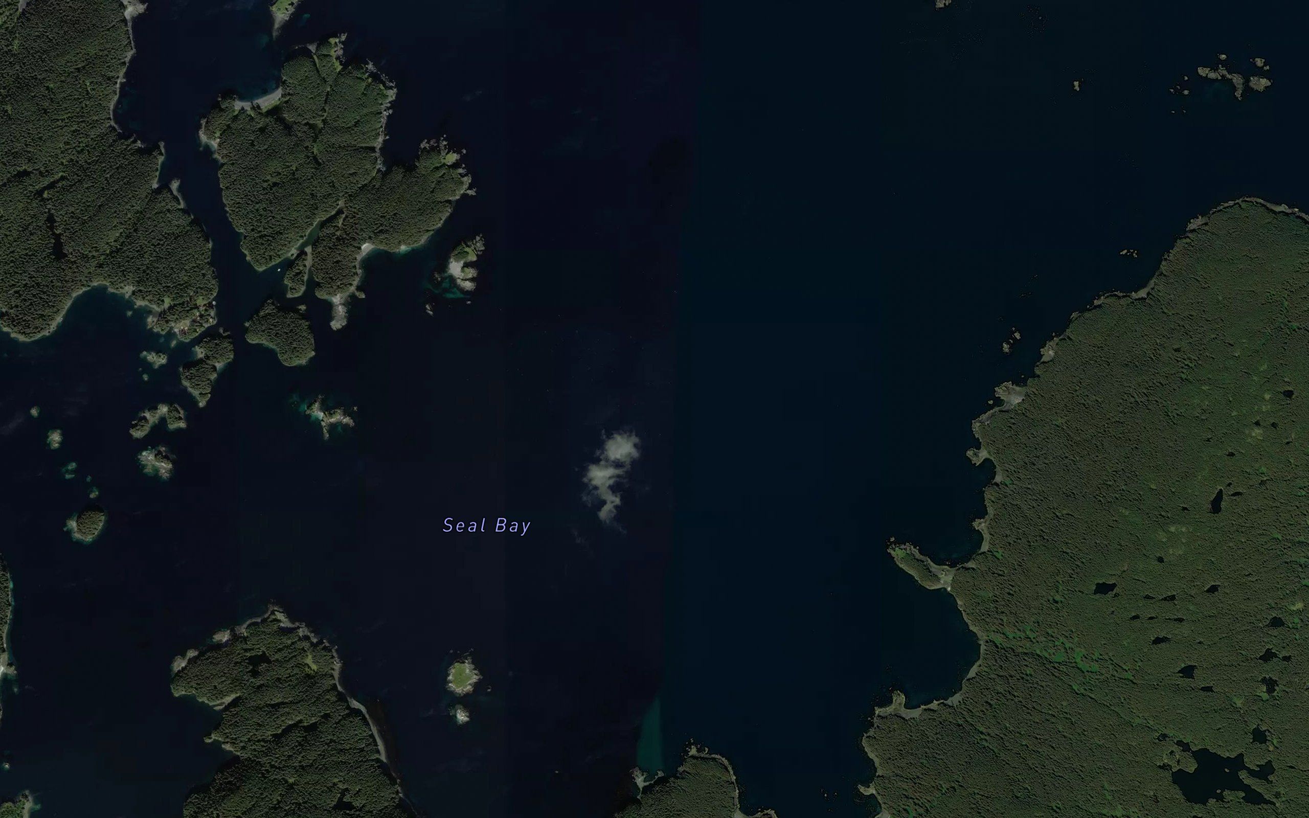 Seal Bay