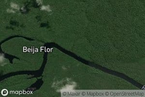 Igarape Beija-Flor