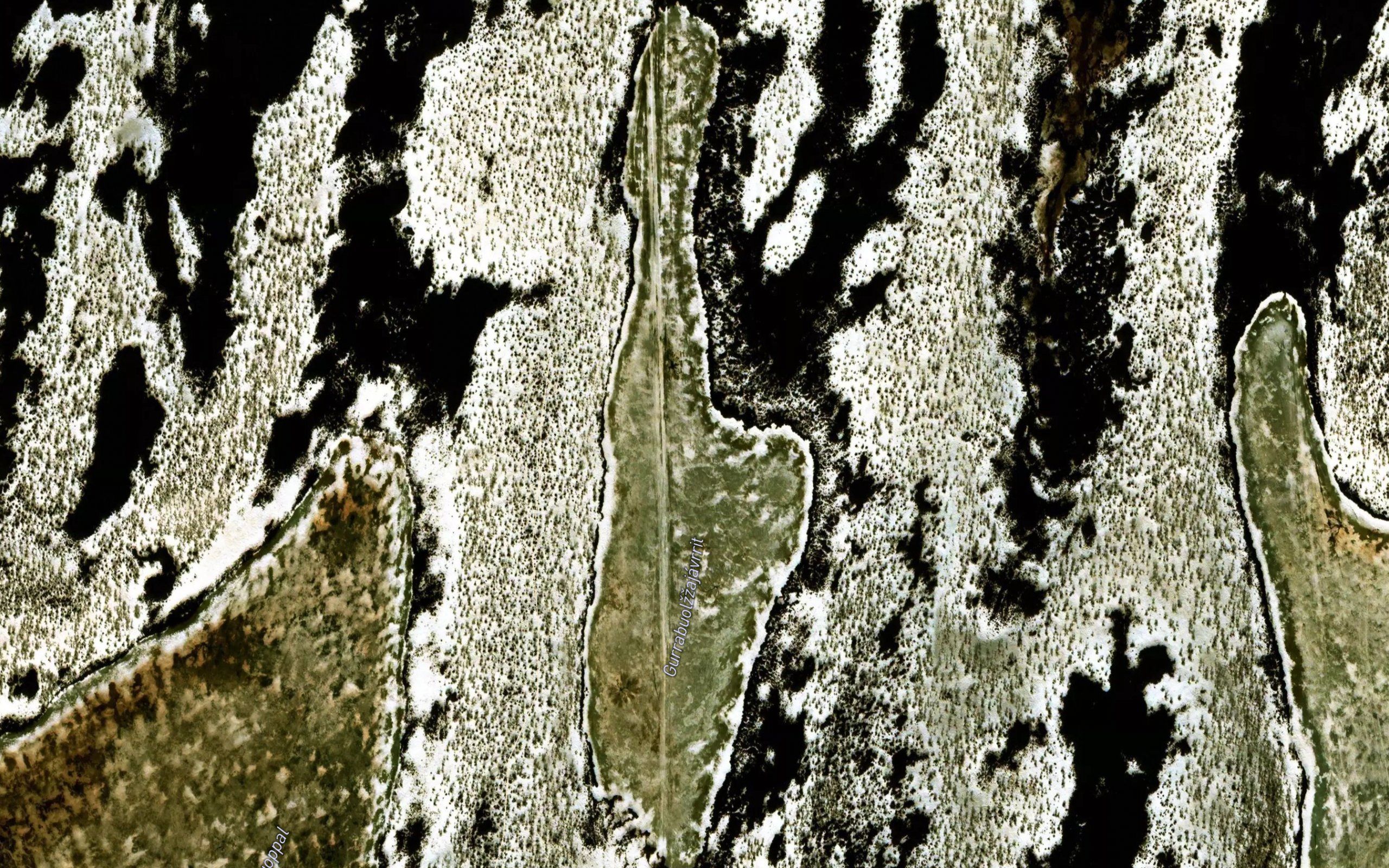 Gurrabuolnajavrit