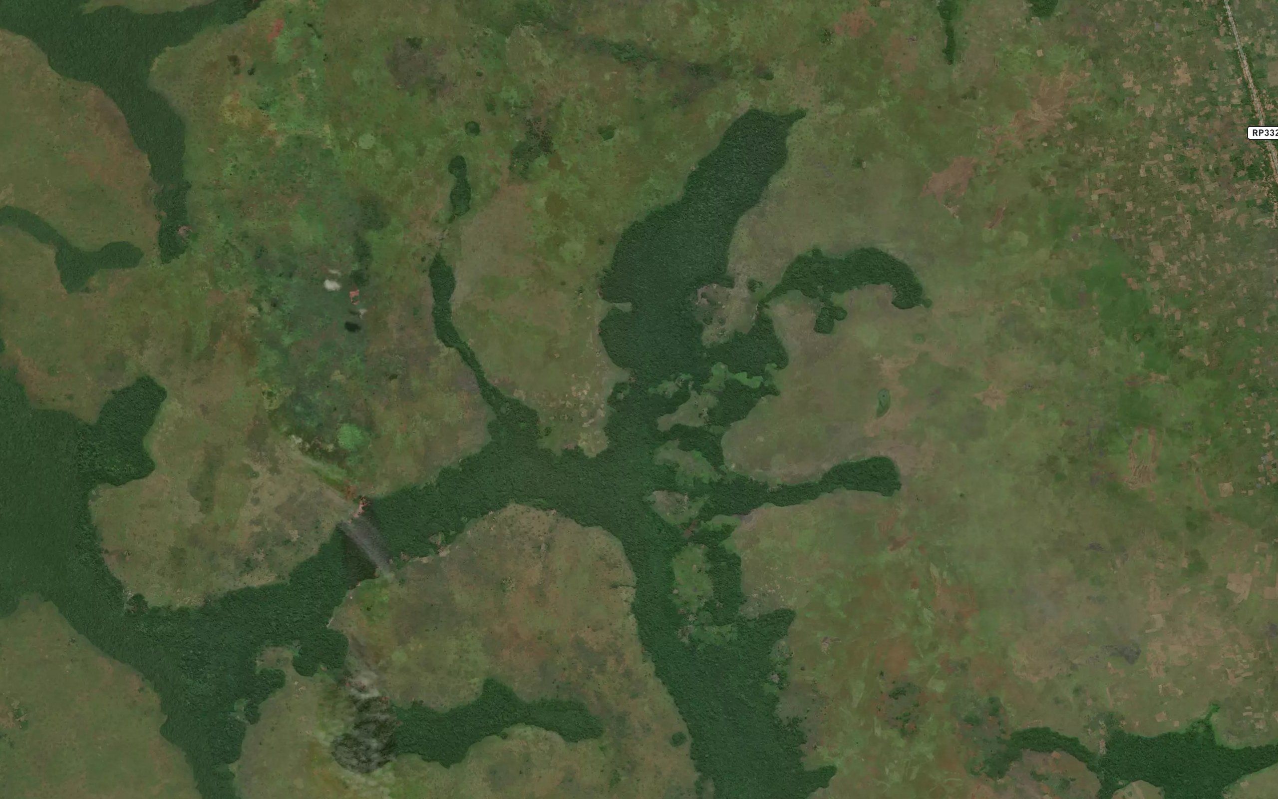 Kolote