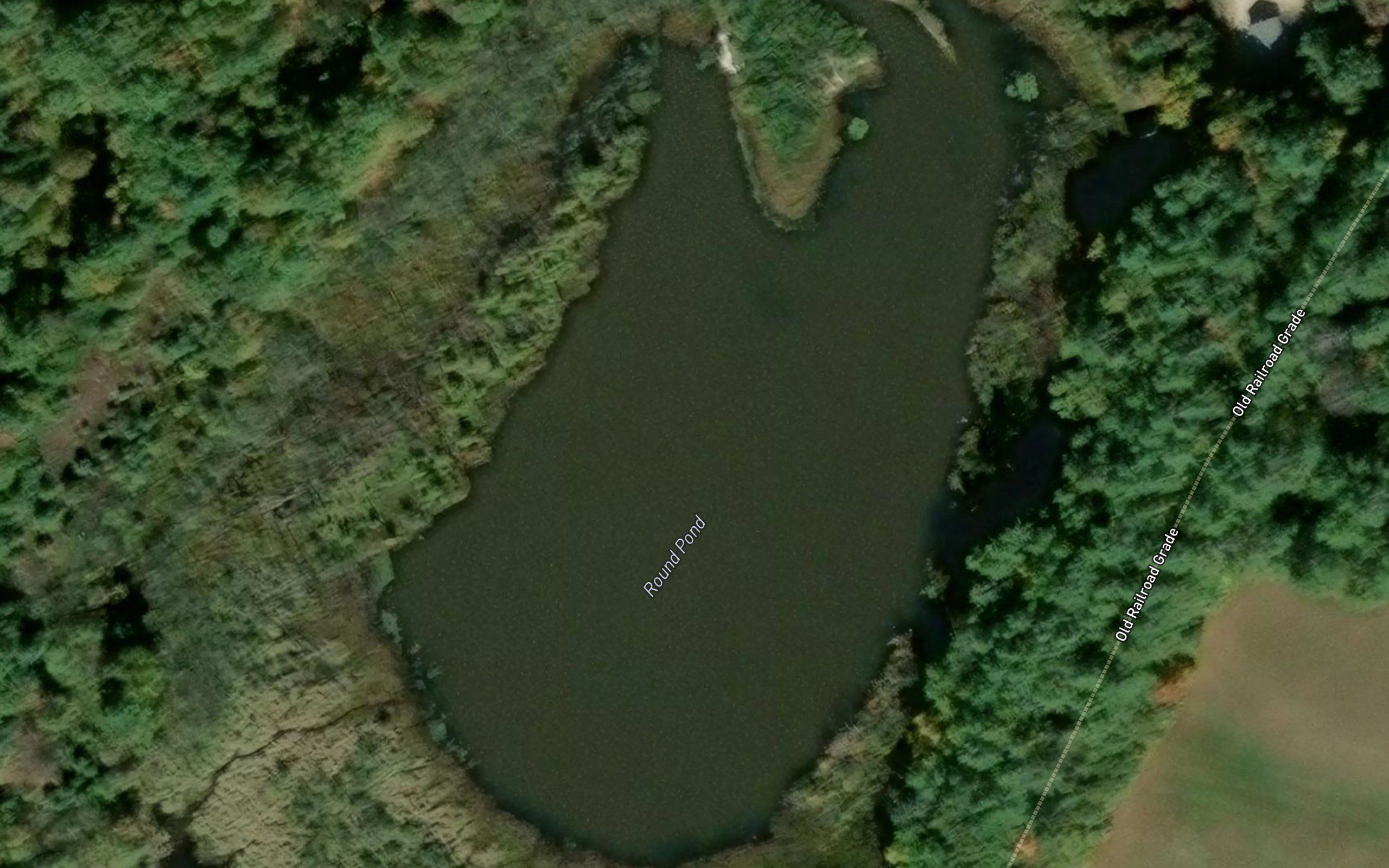 Round Pond