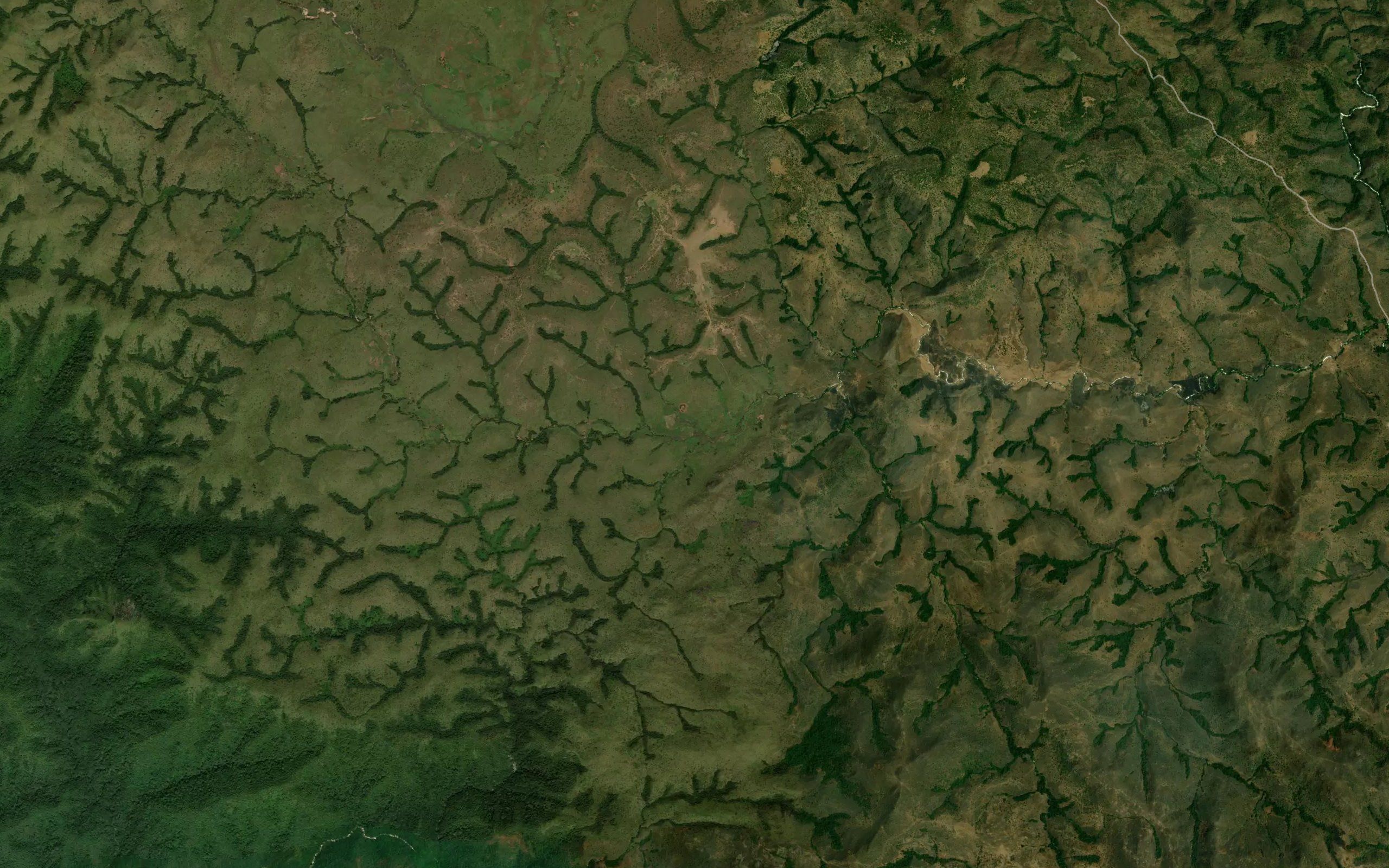 Filinga