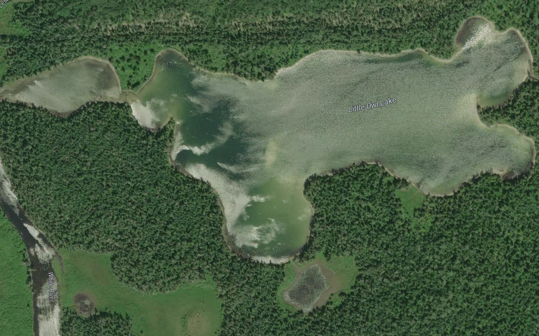 Satellite map of the Little Owl Lake