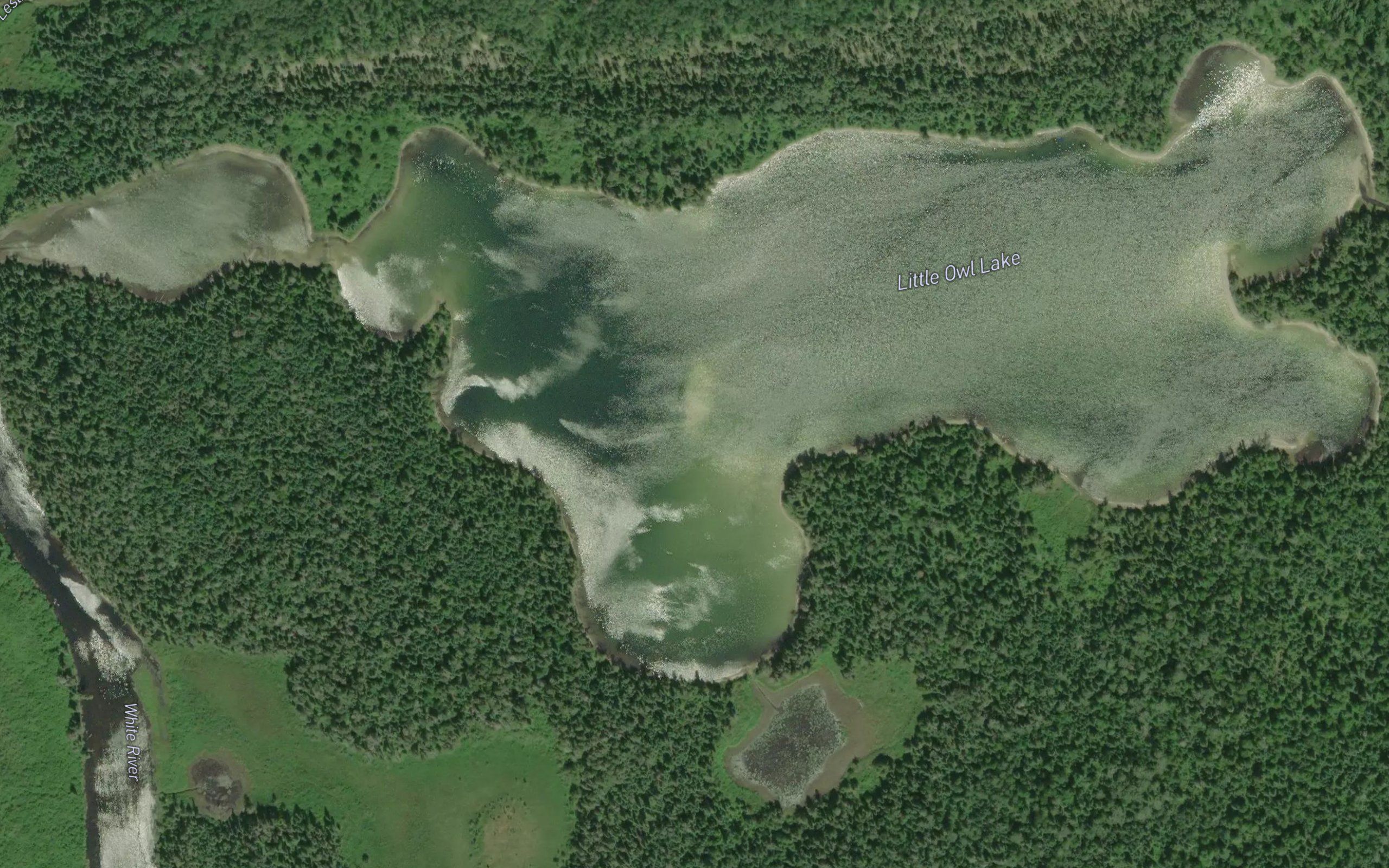 Little Owl Lake