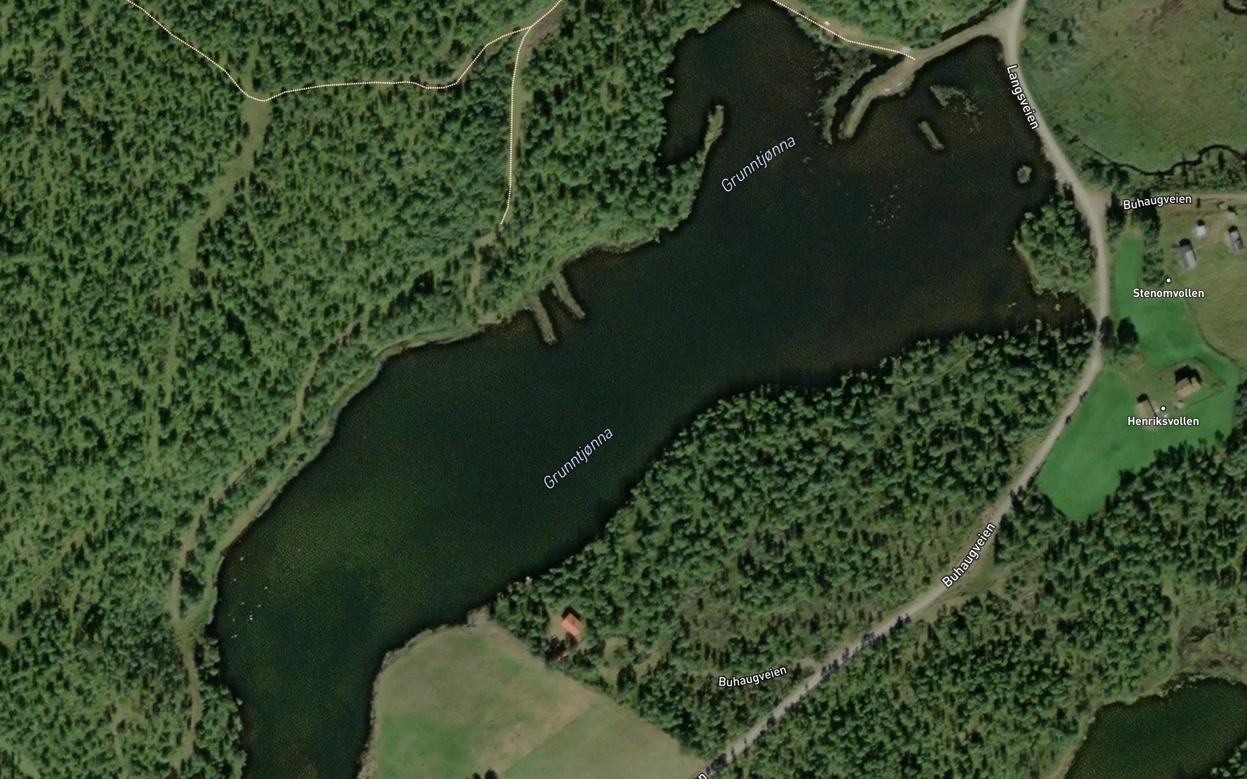 Grunntjorn