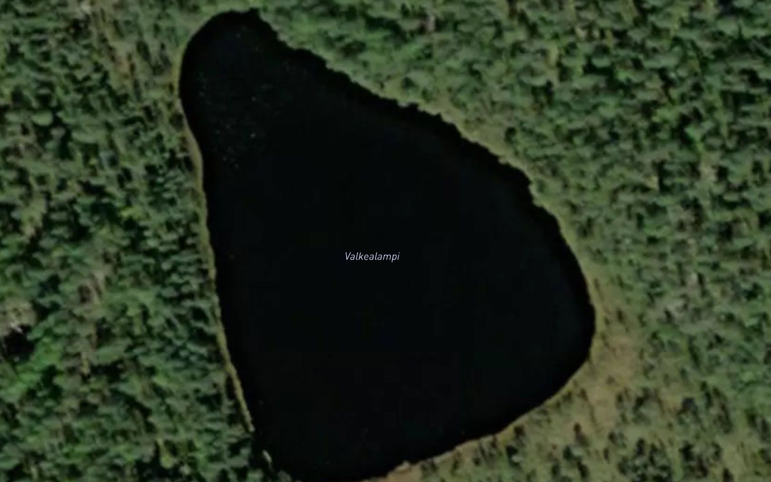 Valkealampi