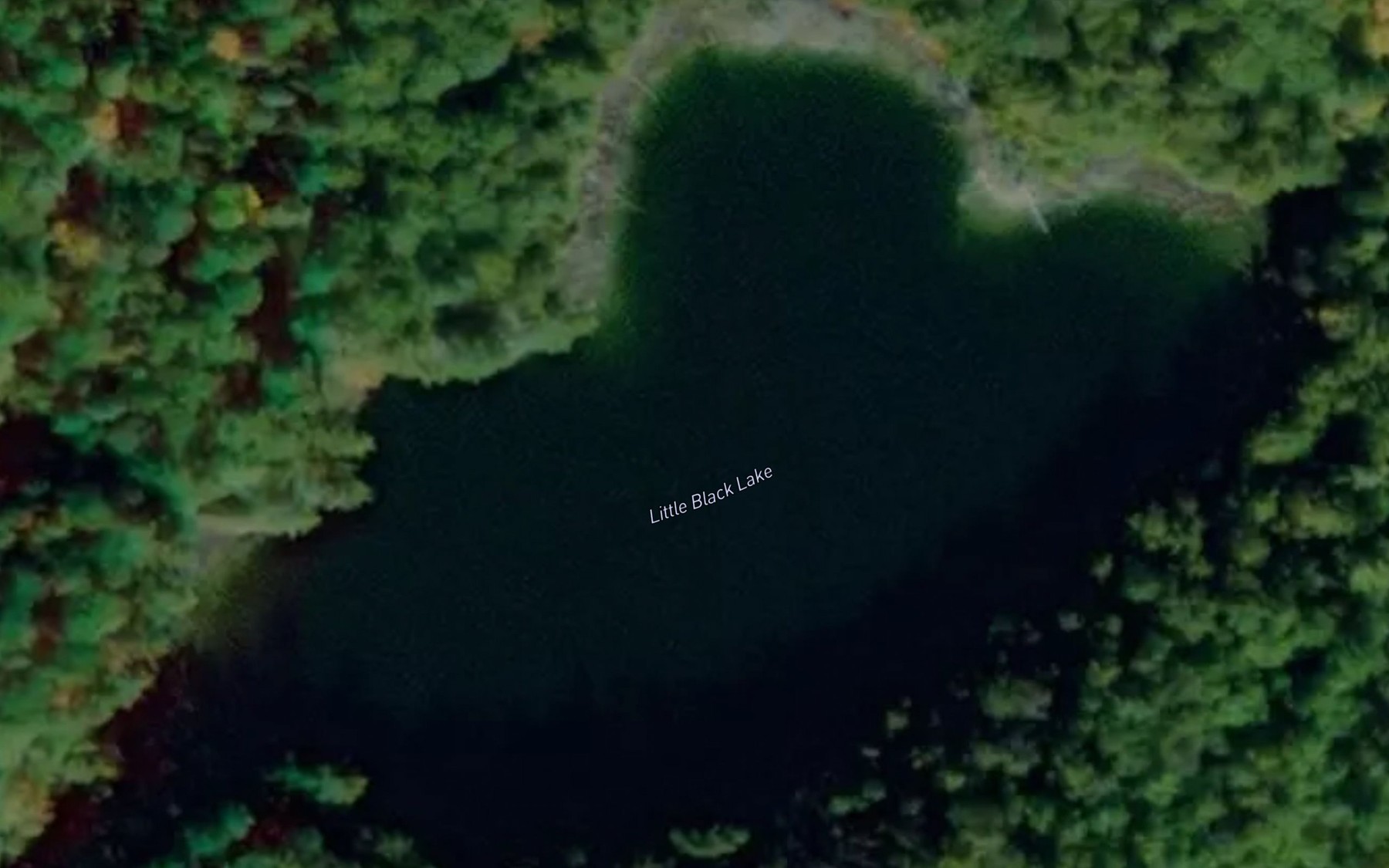 Satellite map of the Little Black Lake