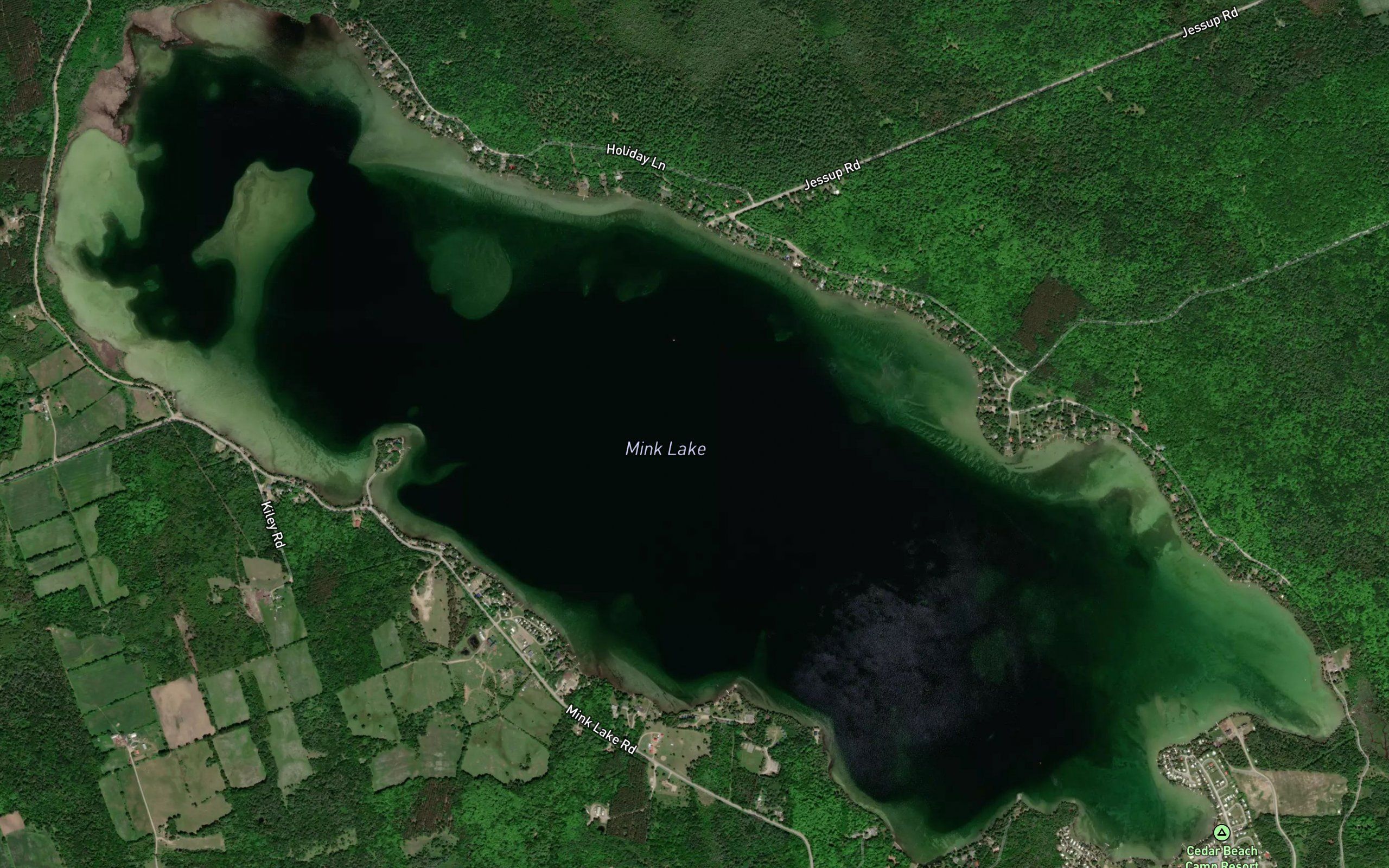 Mink Lake