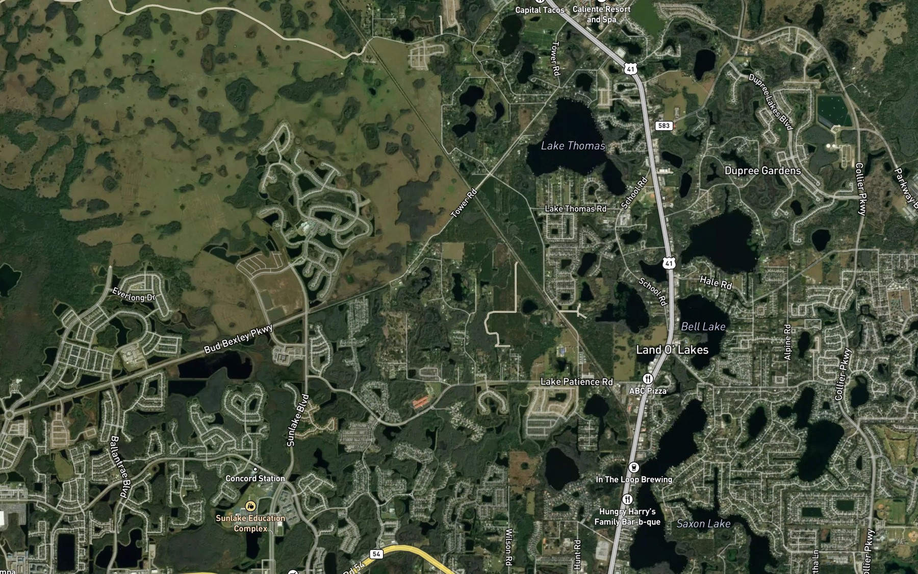 Satellite map of the Lake Patient