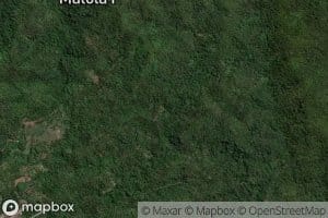 Royongan Makasilikolek